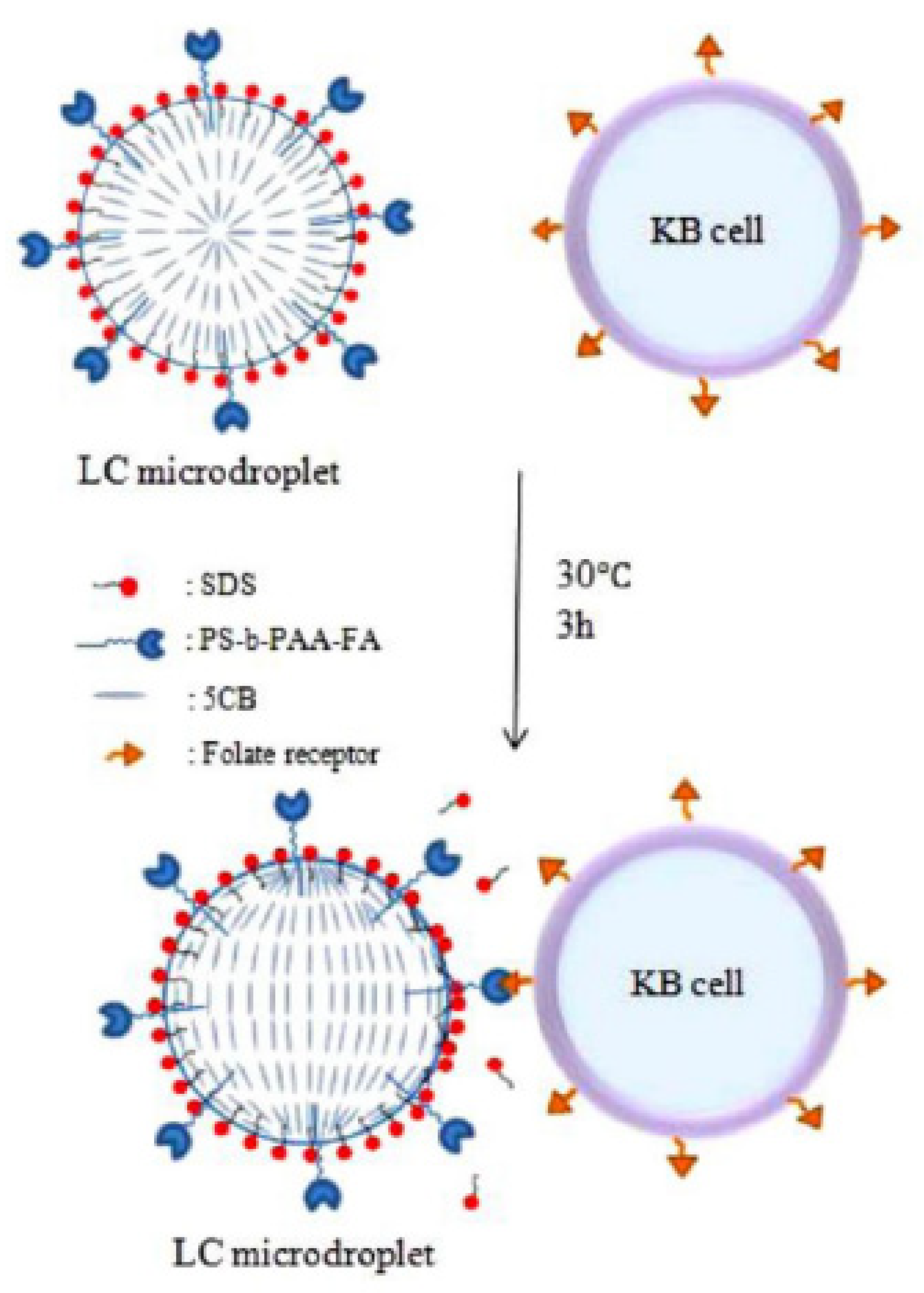 Micromachines 11 00176 g013