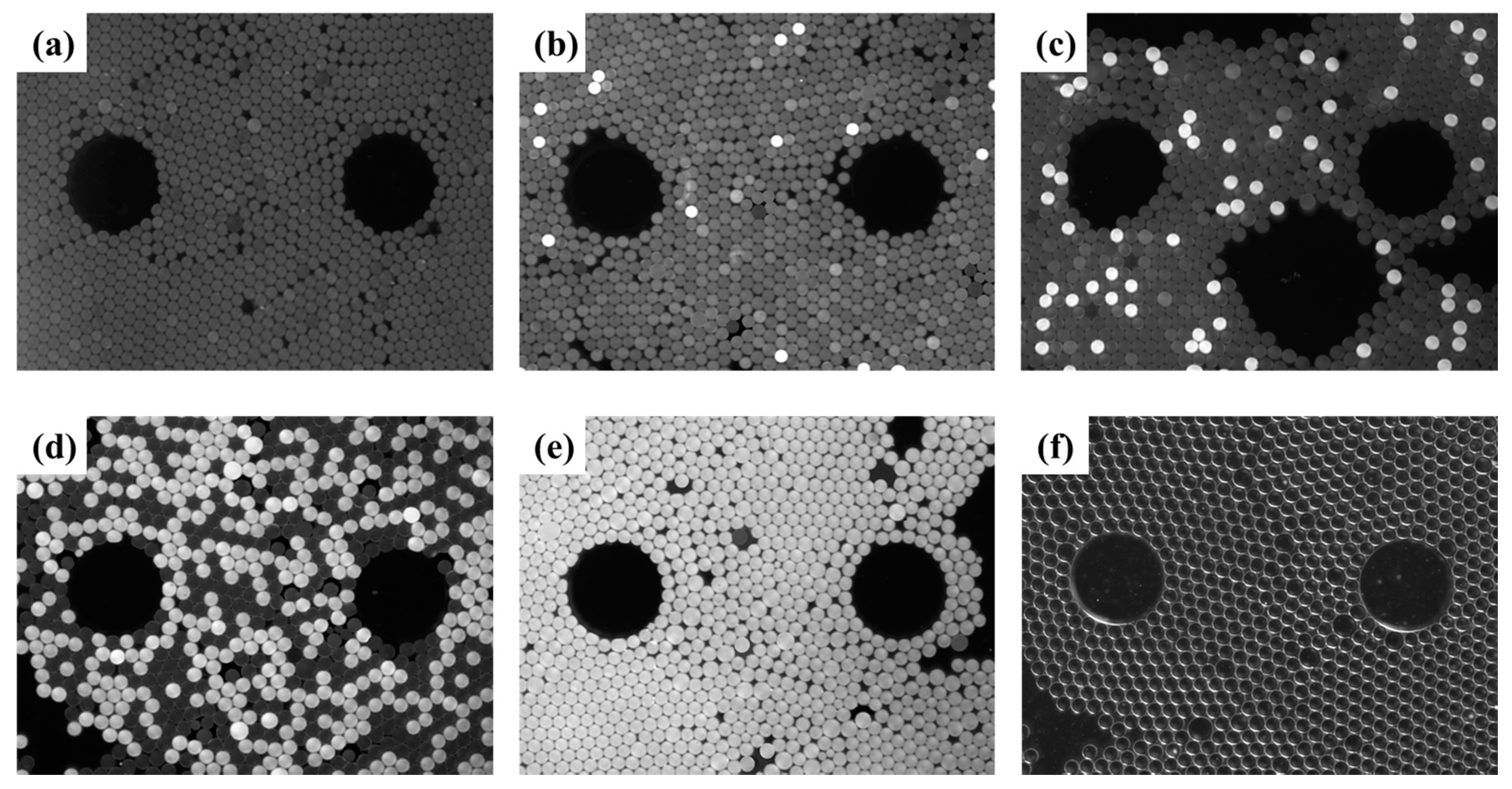 Micromachines 11 00177 g009