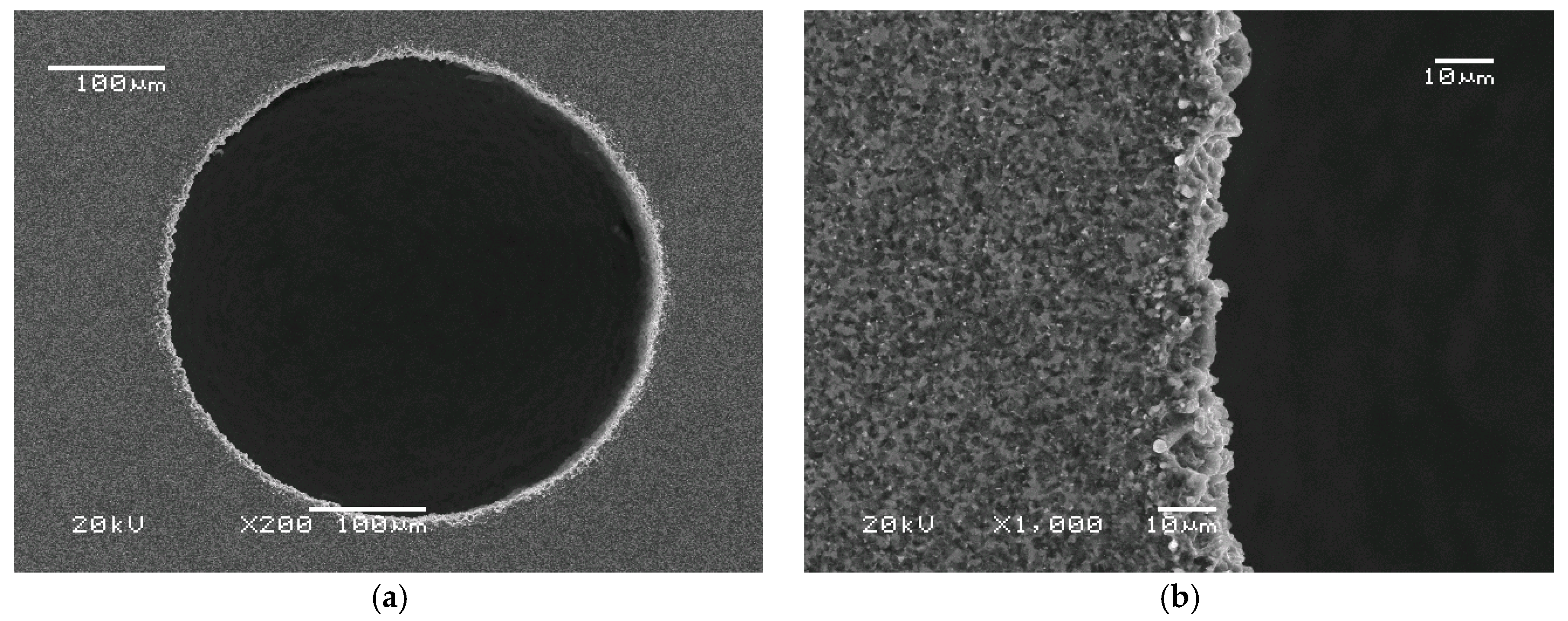 Micromachines 11 00179 g007