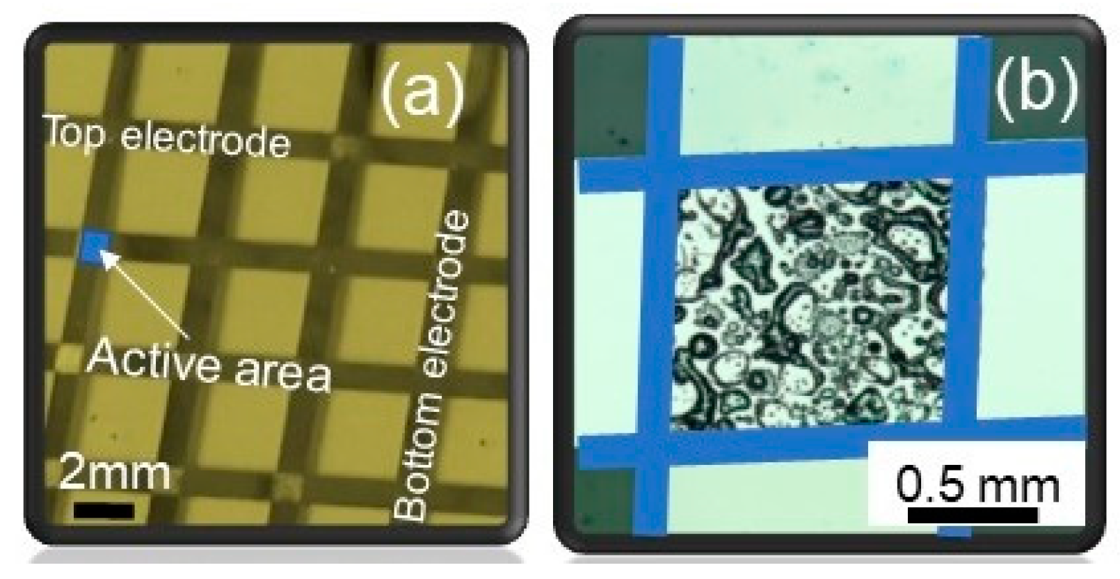 Micromachines 11 00182 g002