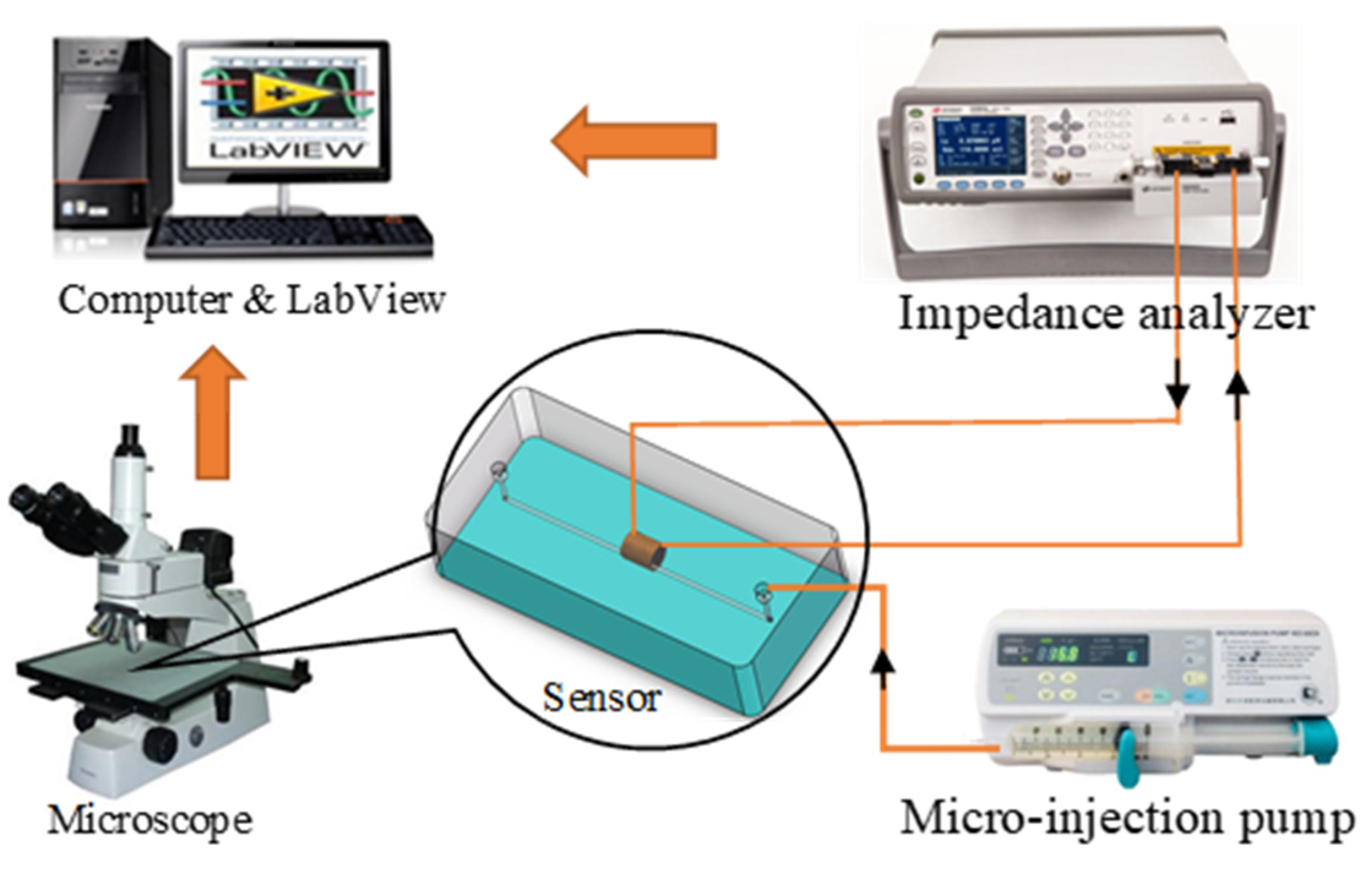 Micromachines 11 00183 g004