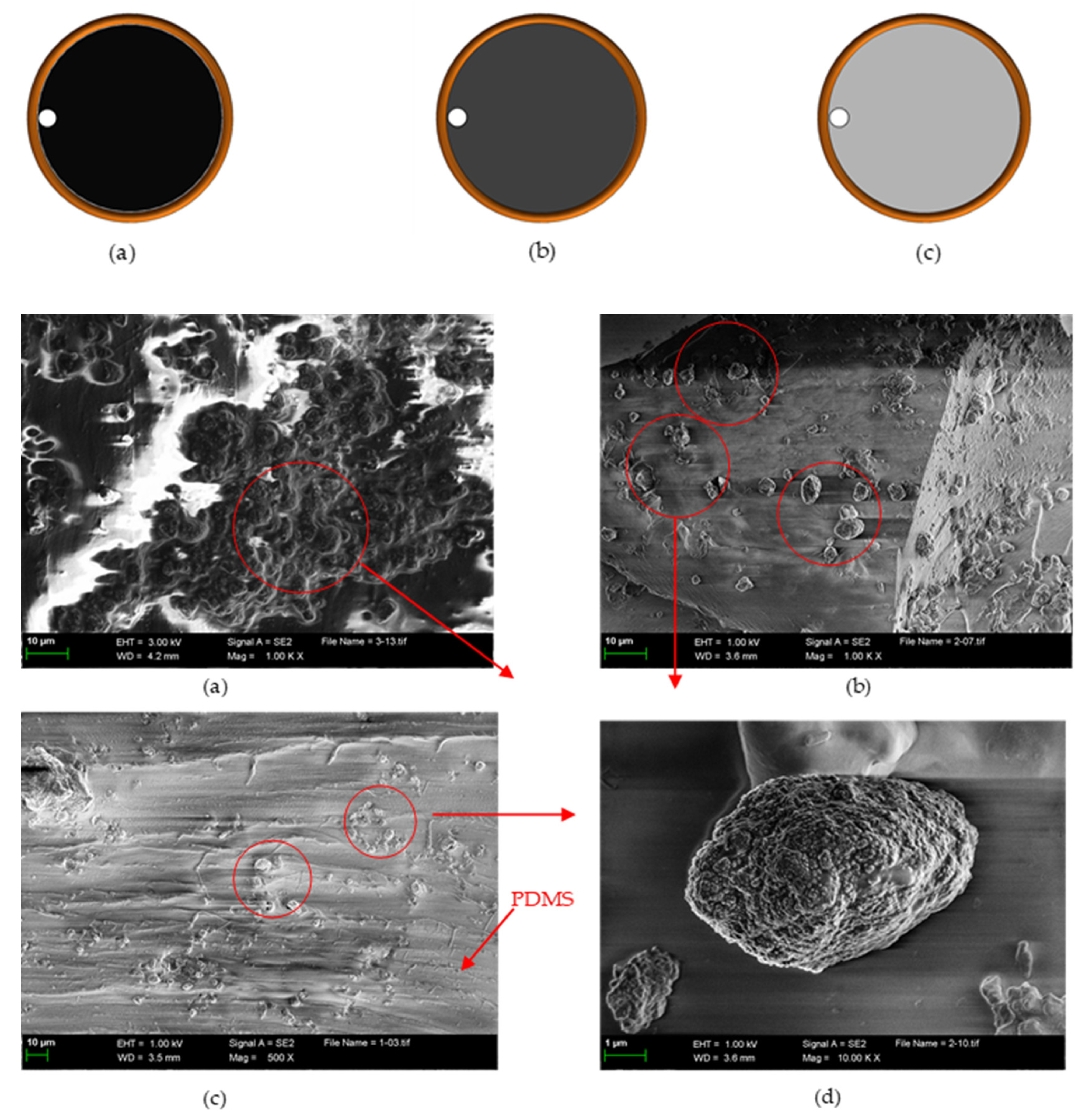 Micromachines 11 00183 g014