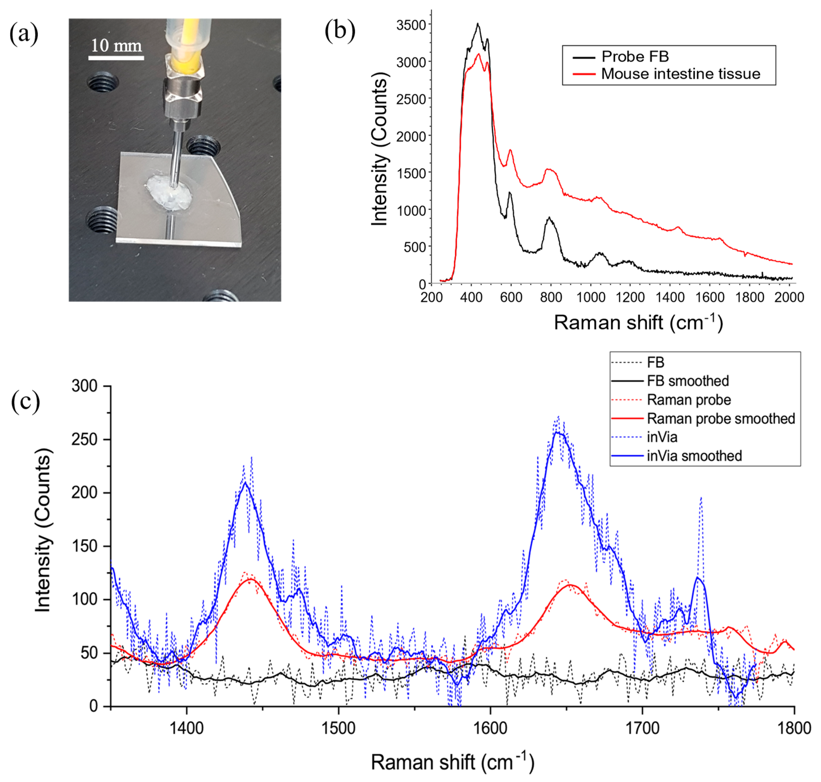 Micromachines 11 00185 g009