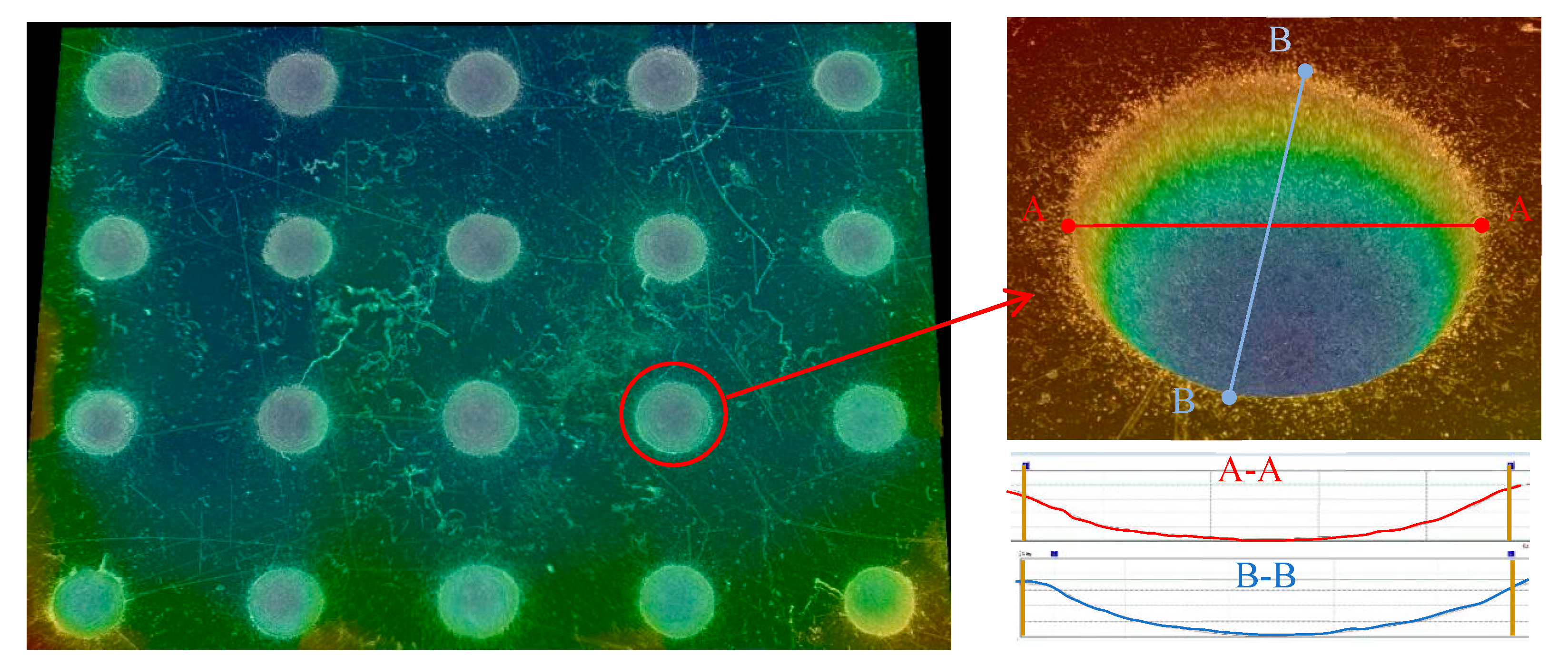 Micromachines 11 00188 g003 Micromachines 11 00188 g003