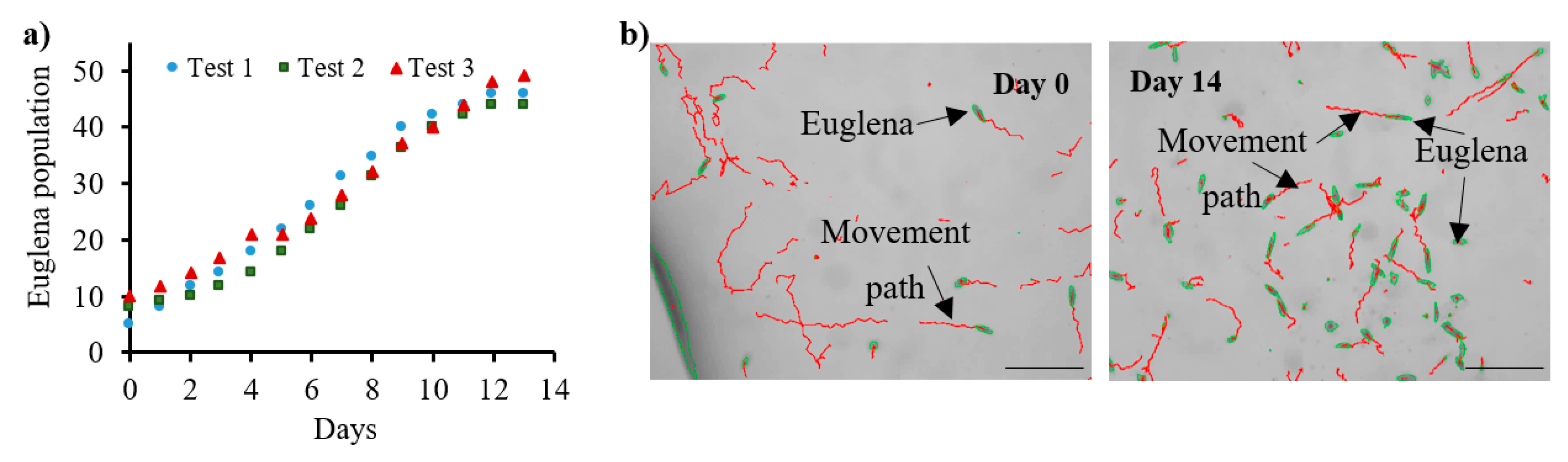 Micromachines 11 00196 g005 Micromachines 11 00196 g005