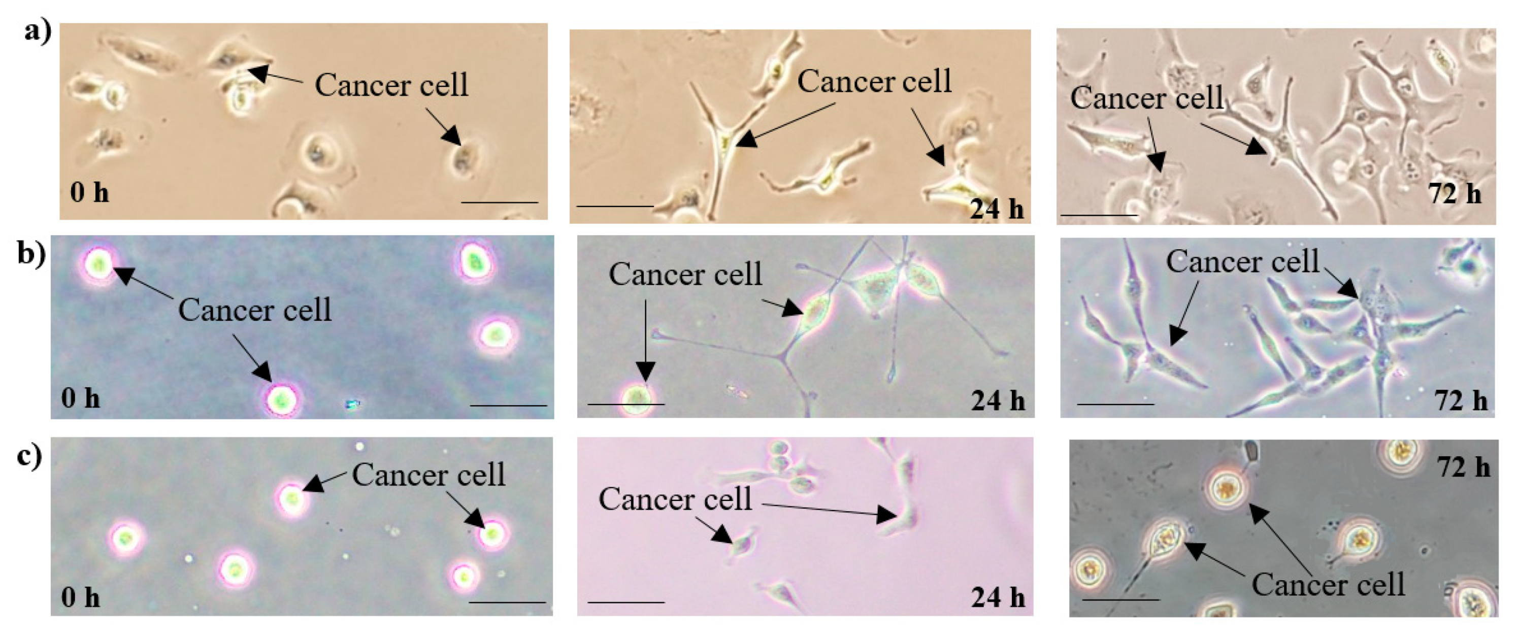 Micromachines 11 00196 g007 Micromachines 11 00196 g007