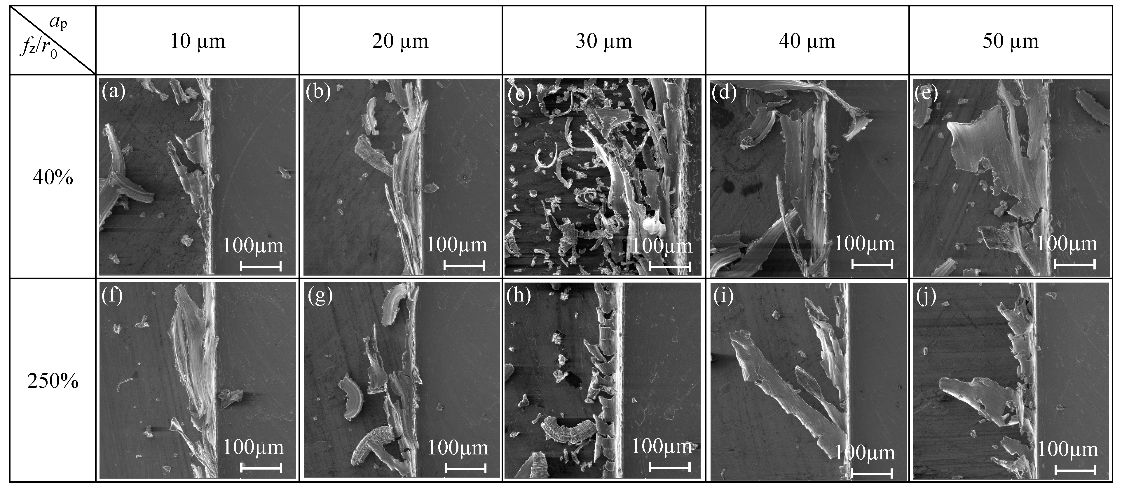 Micromachines 11 00197 g010