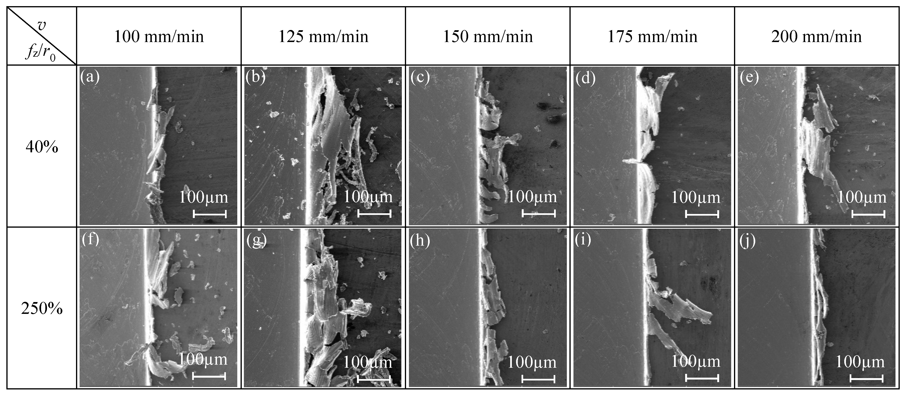 Micromachines 11 00197 g014