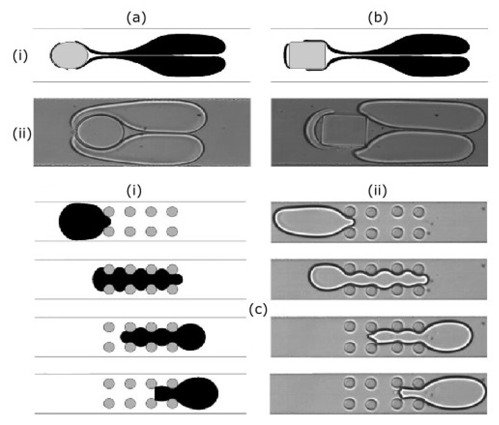 Micromachines 11 00201 g008