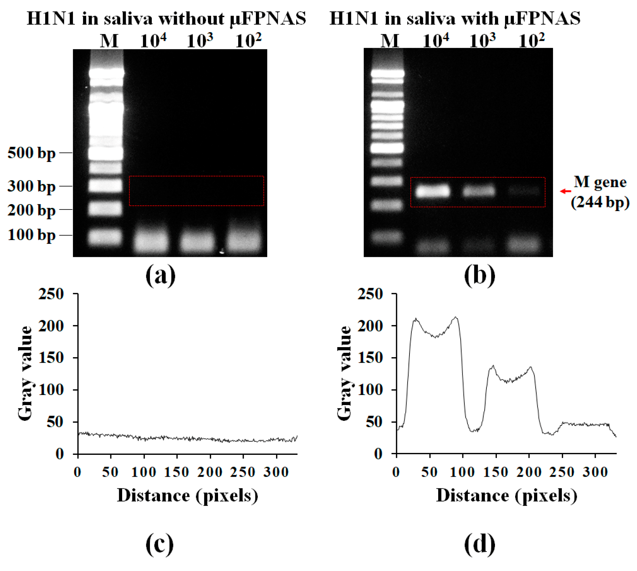 Micromachines 11 00203 g005 Micromachines 11 00203 g005