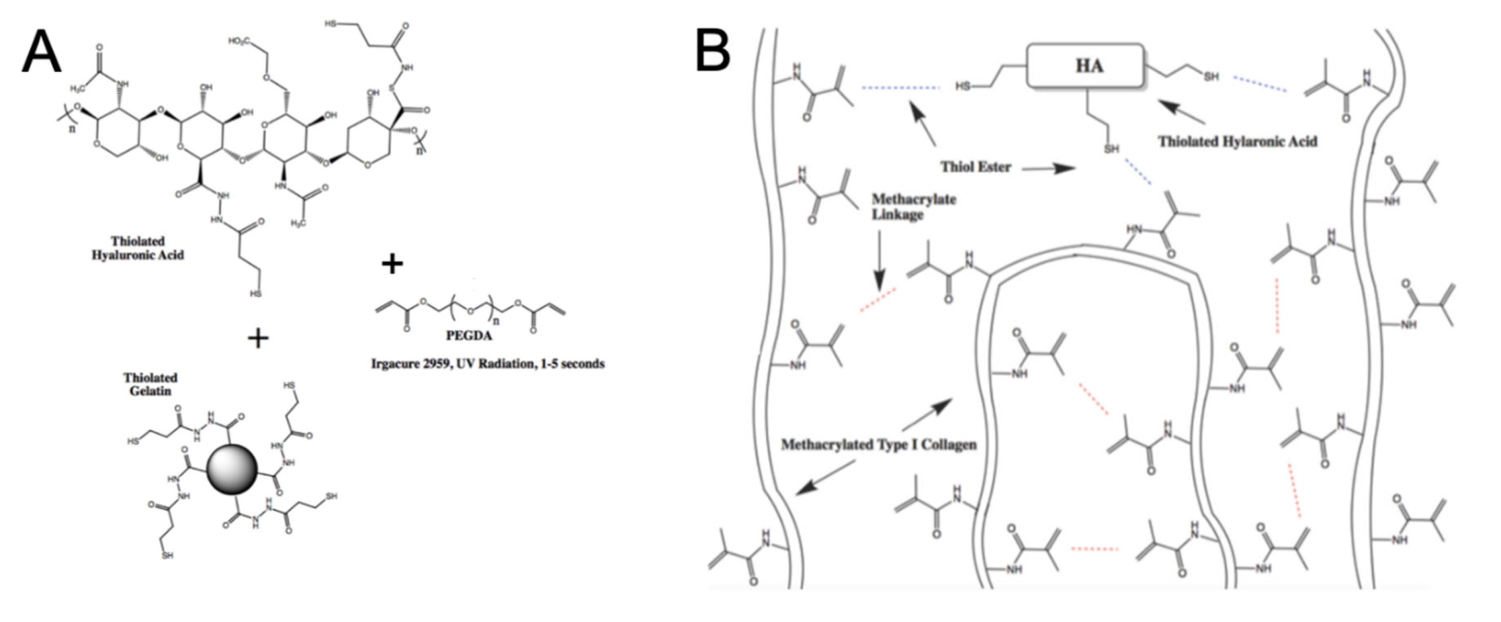 Micromachines 11 00208 g001 Micromachines 11 00208 g001
