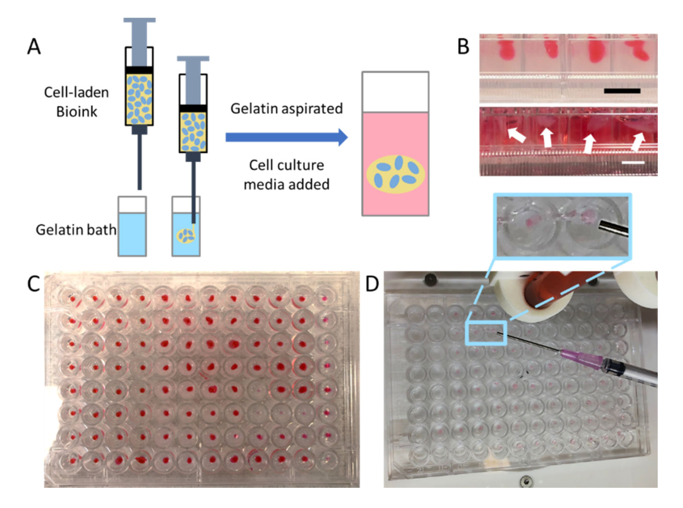 Micromachines 11 00208 g002 Micromachines 11 00208 g002