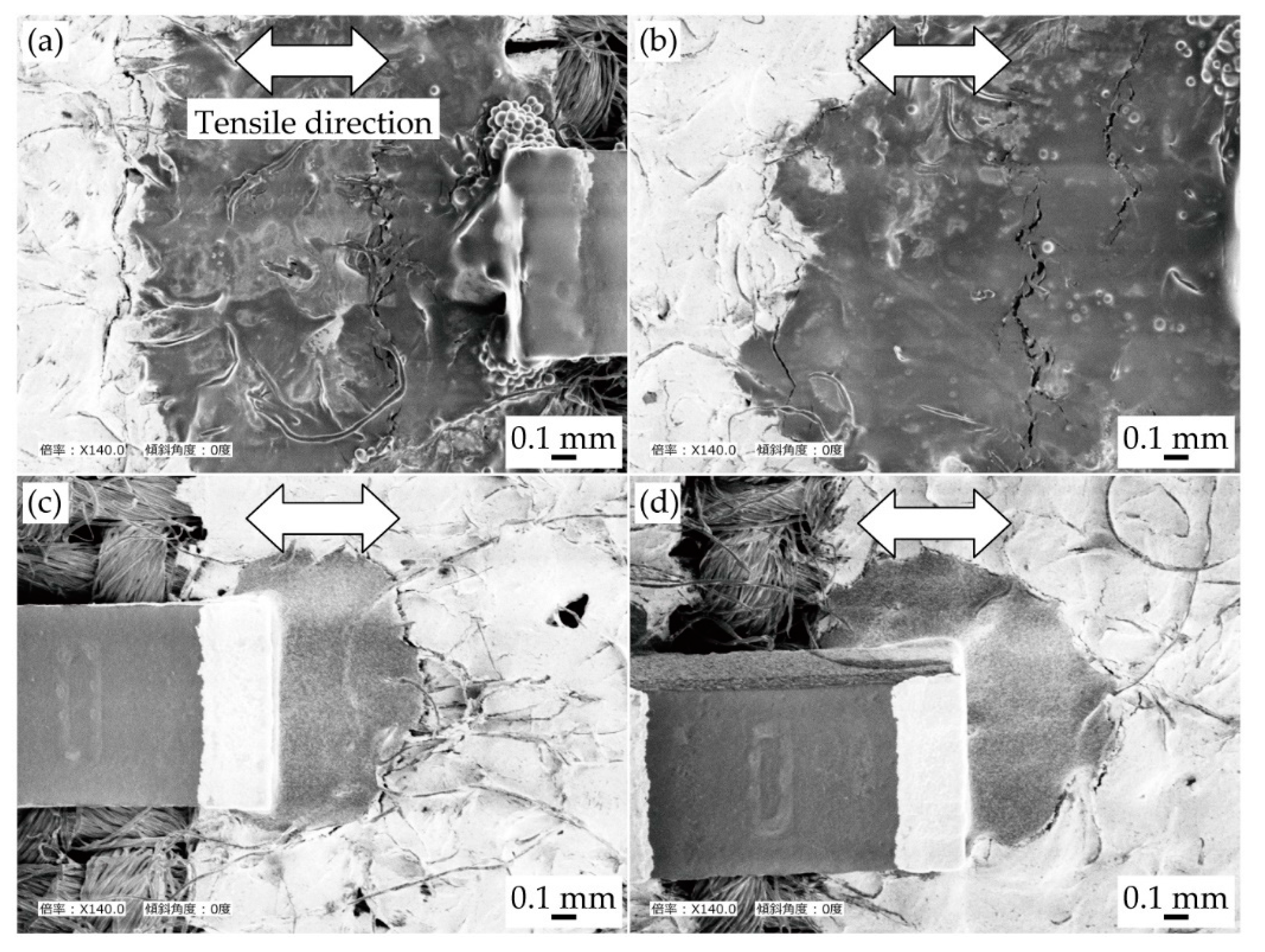 Micromachines 11 00209 g006