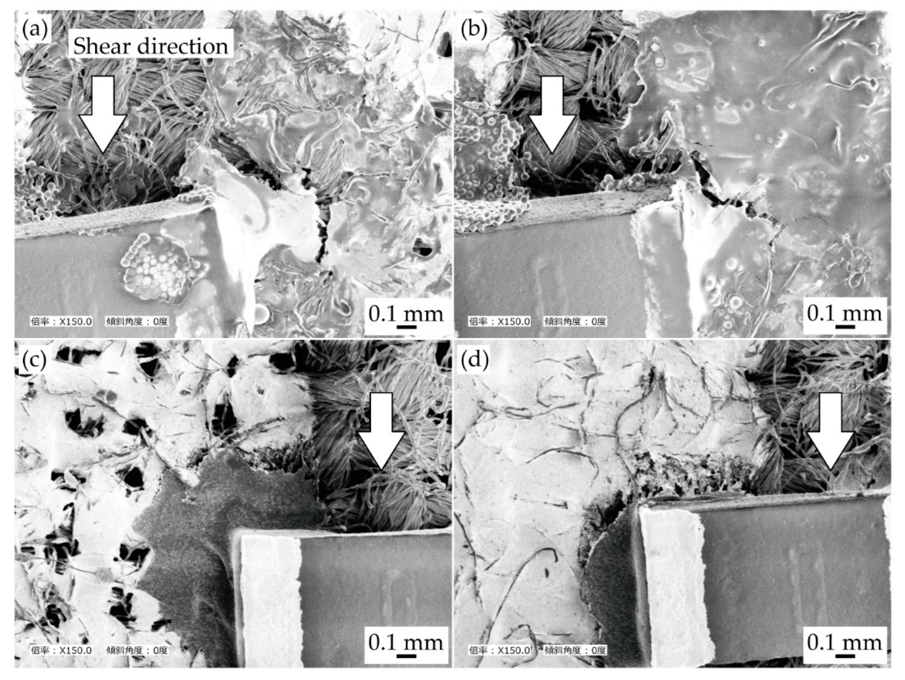 Micromachines 11 00209 g009