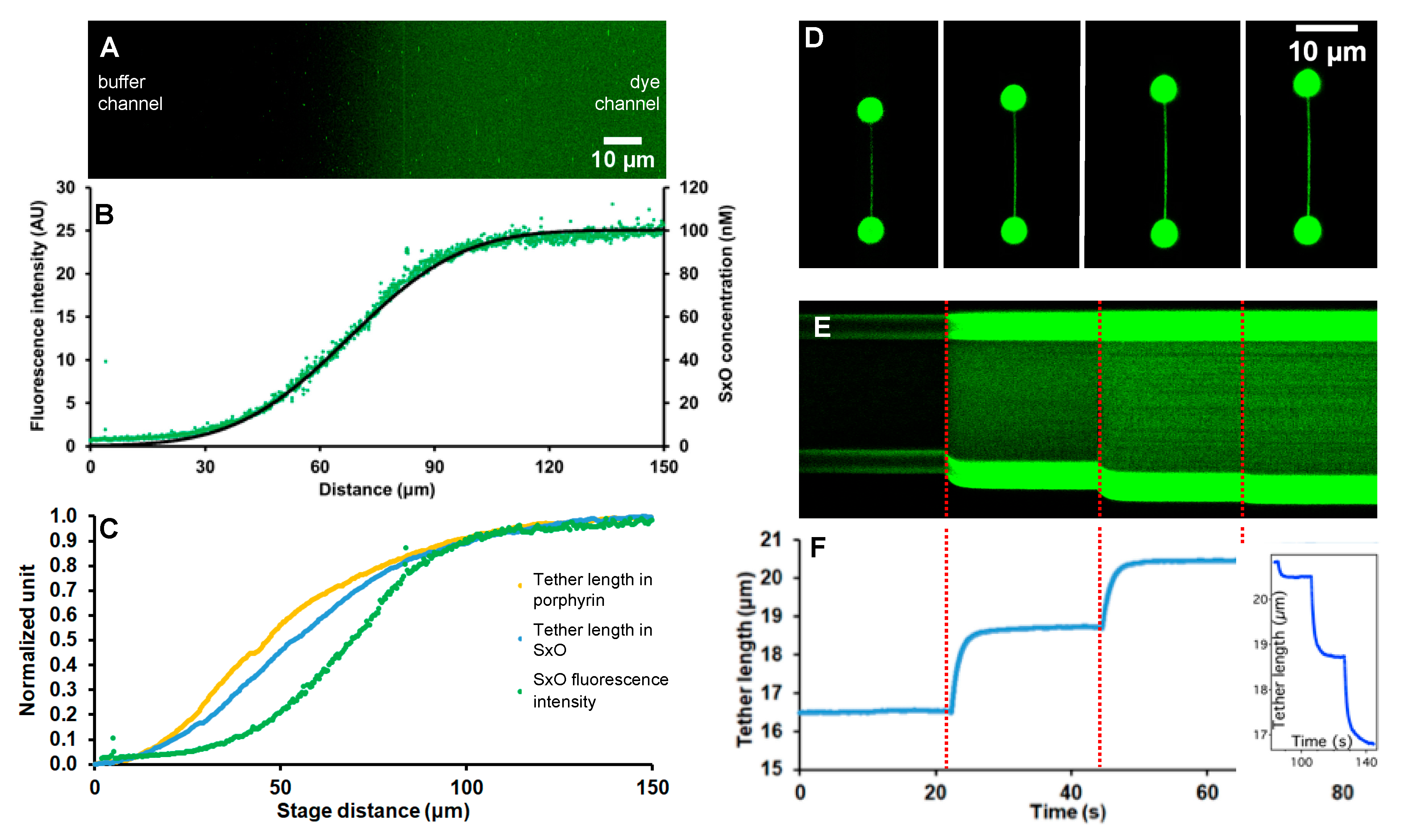 Micromachines 11 00212 g002
