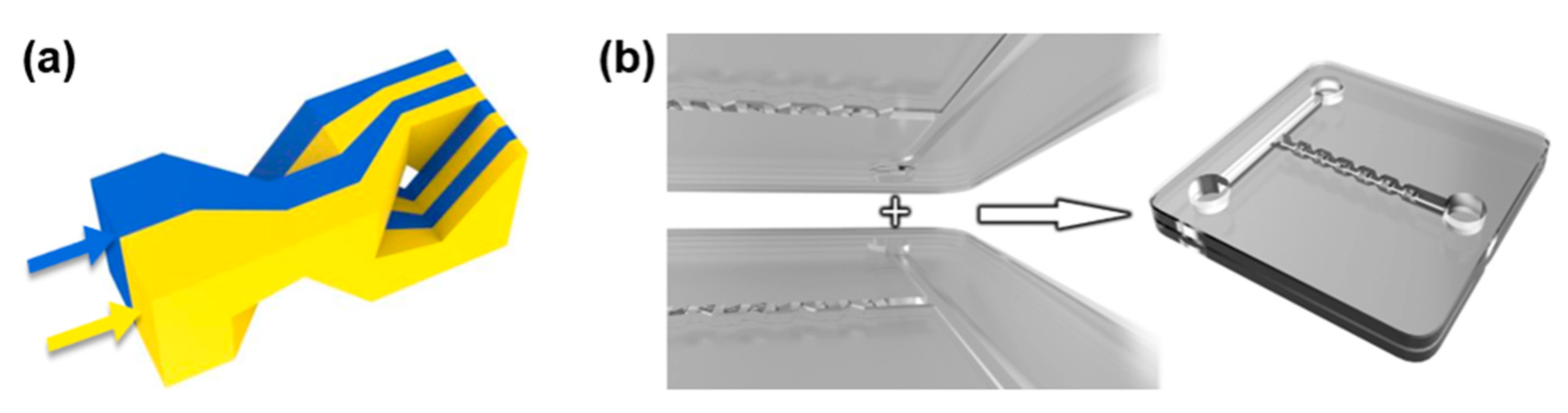 Micromachines 11 00213 g001
