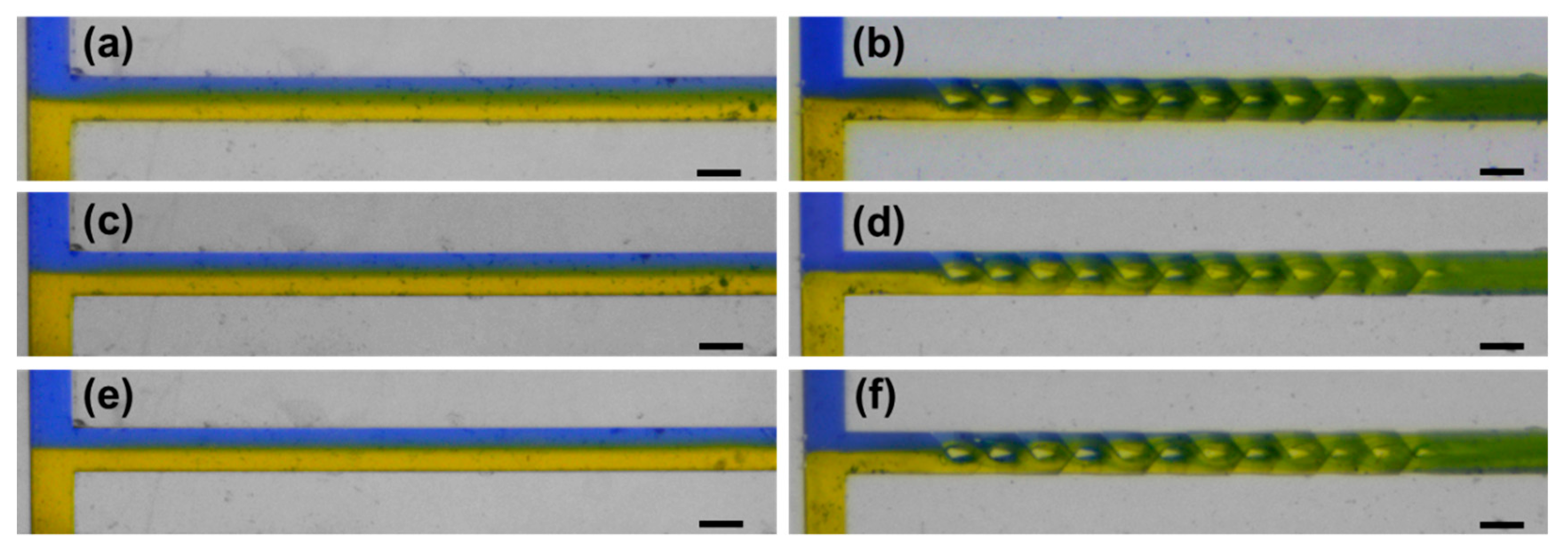 Micromachines 11 00213 g005