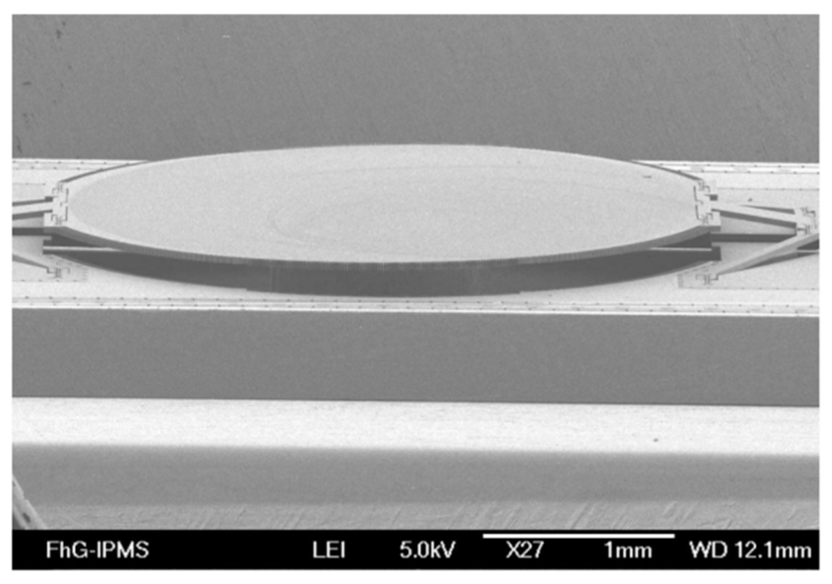 Micromachines 11 00214 g014 Micromachines 11 00214 g014