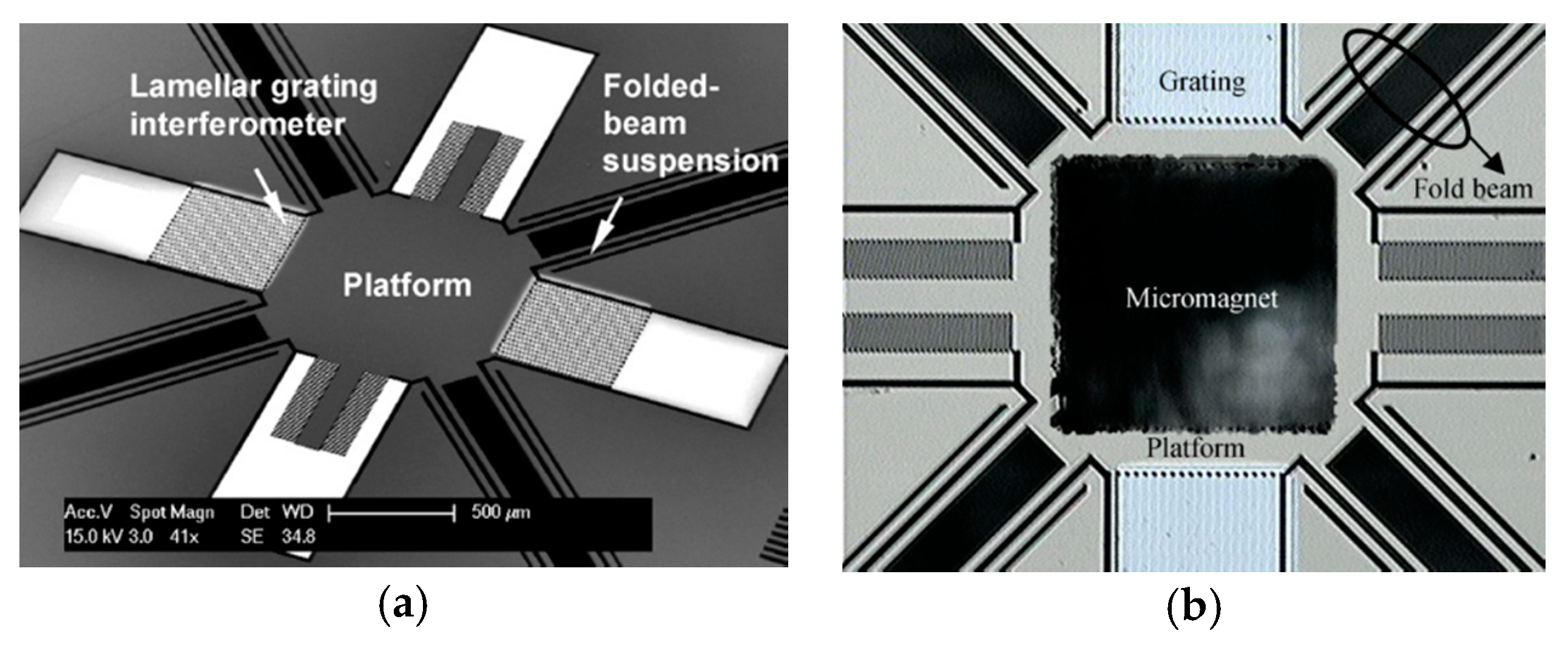 Micromachines 11 00214 g020 Micromachines 11 00214 g020
