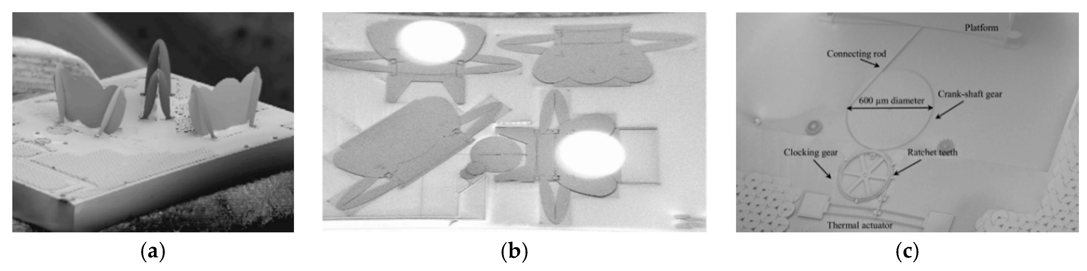 Micromachines 11 00214 g028 Micromachines 11 00214 g028