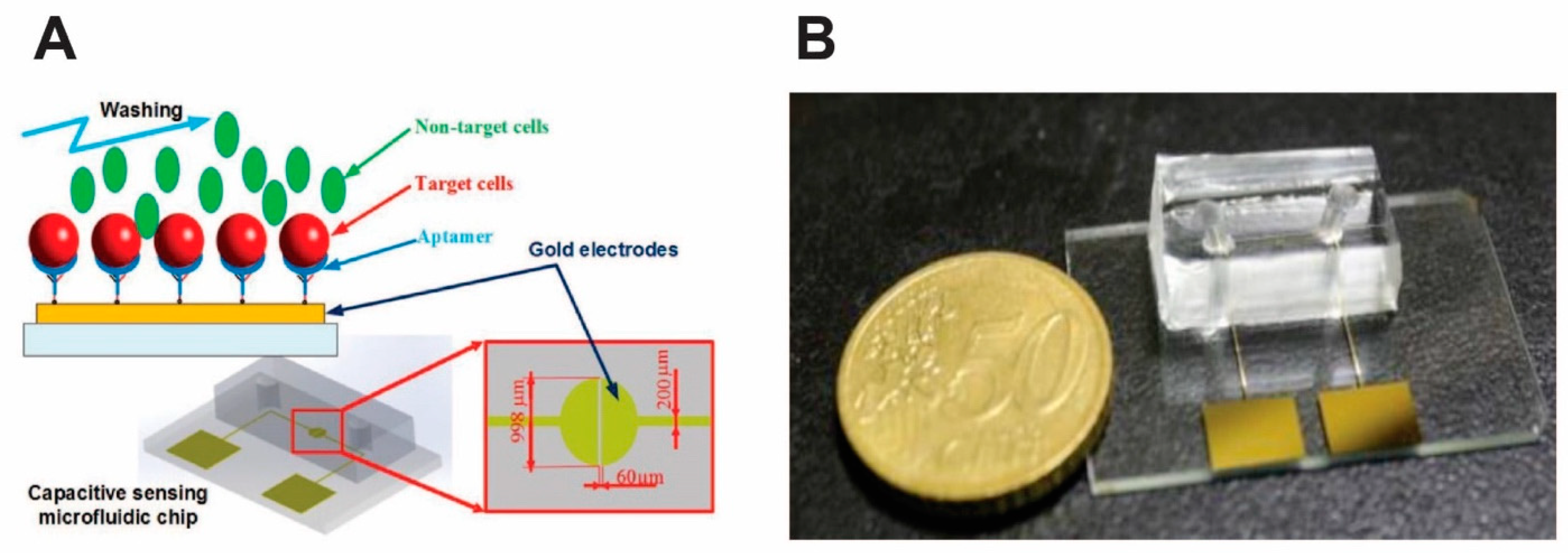 Micromachines Free Full Text Lab On A Chip Systems For Aptamer Based Biosensing Html