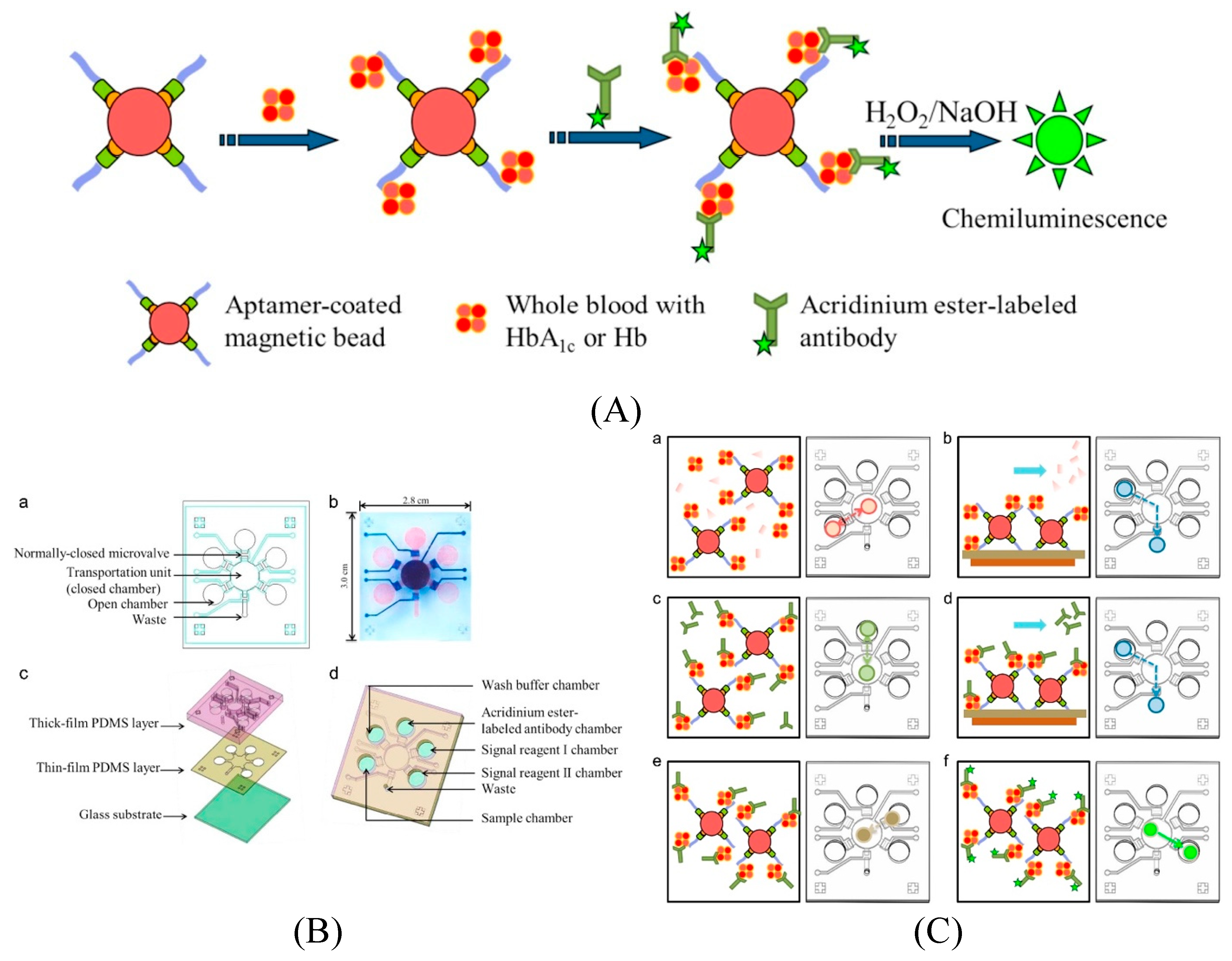 Micromachines 11 00220 g016 Micromachines 11 00220 g016