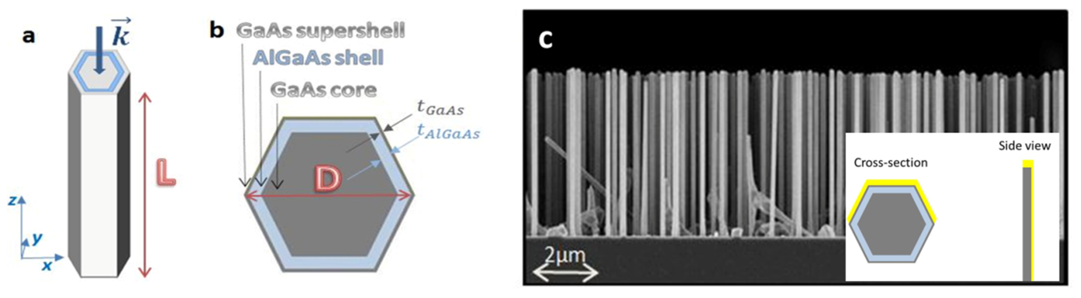 Micromachines 11 00225 g001 Micromachines 11 00225 g001