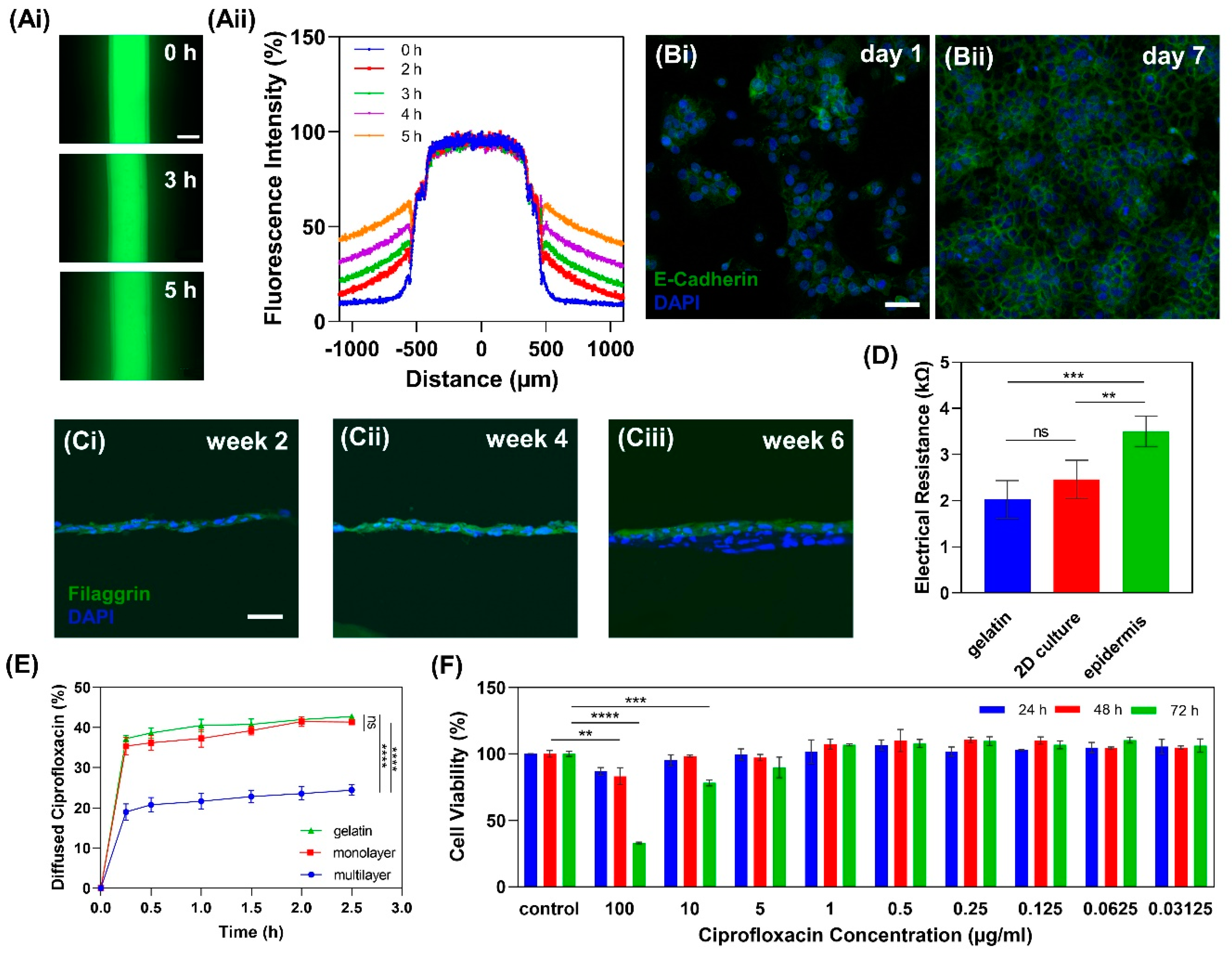 Micromachines 11 00227 g005 Micromachines 11 00227 g005