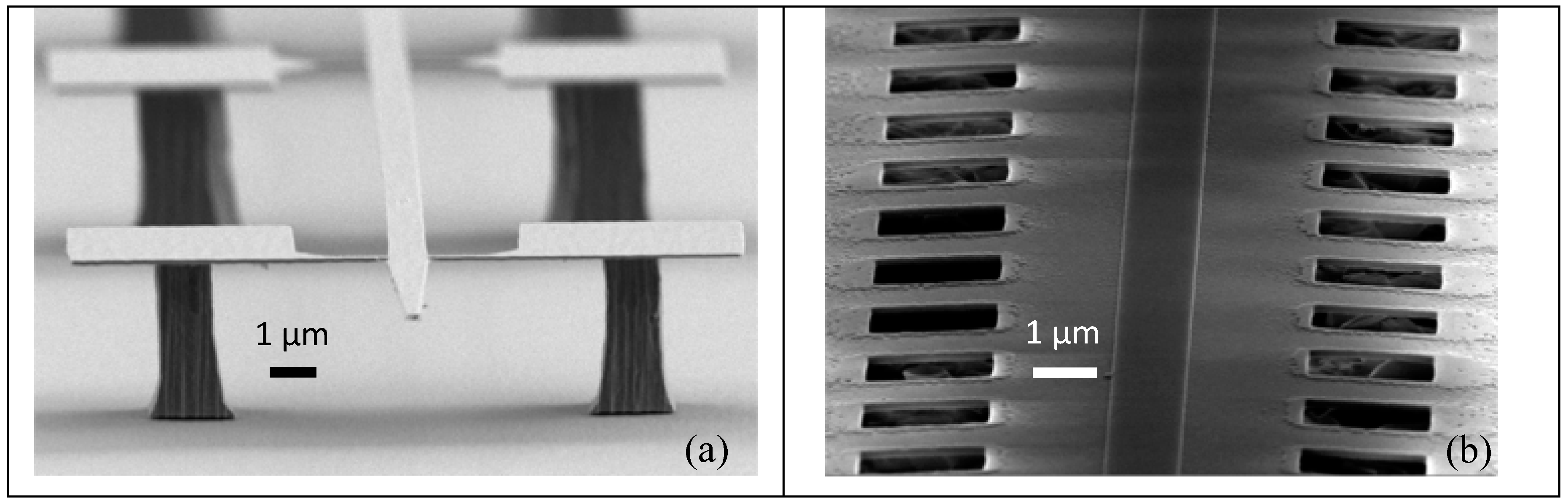 Micromachines 11 00229 g002 Micromachines 11 00229 g002