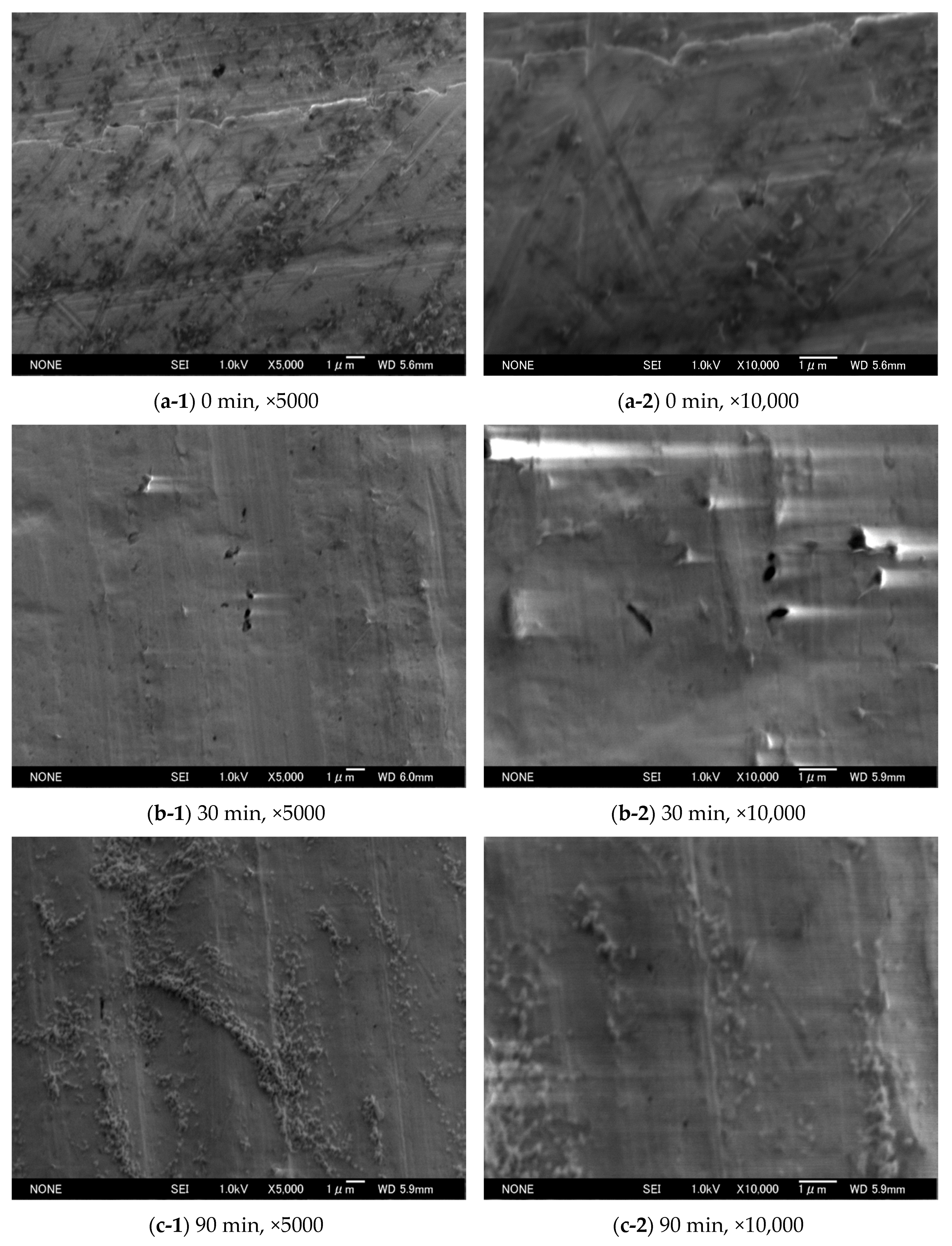 Micromachines 11 00234 g001 Micromachines 11 00234 g001