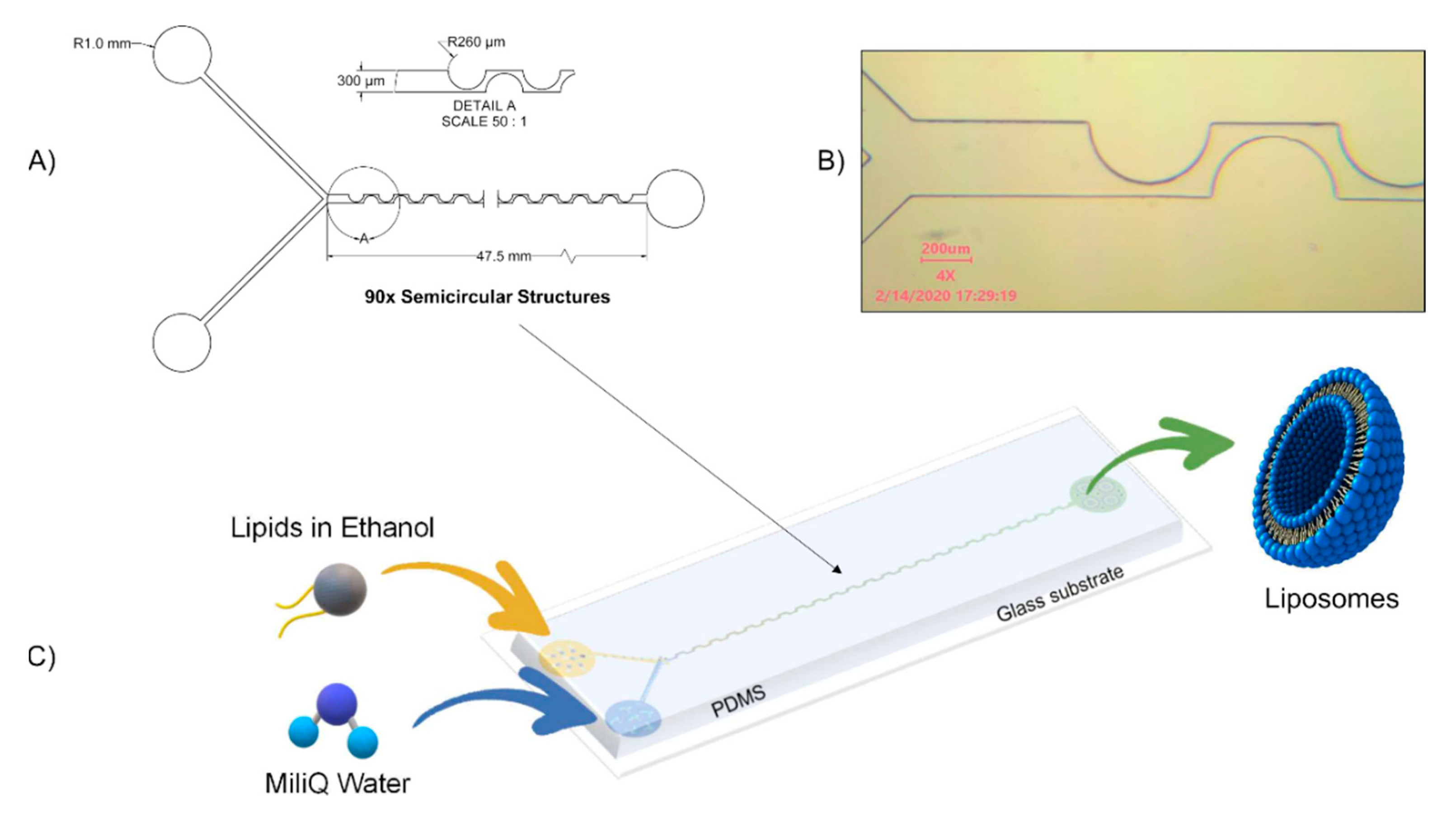 Micromachines 11 00235 g001