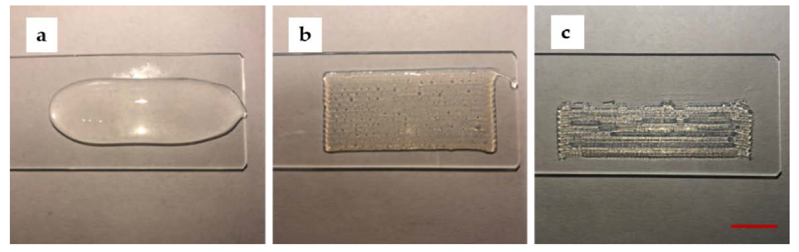Micromachines 11 00237 g002