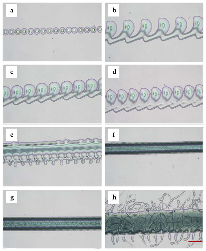 Micromachines 11 00237 g006