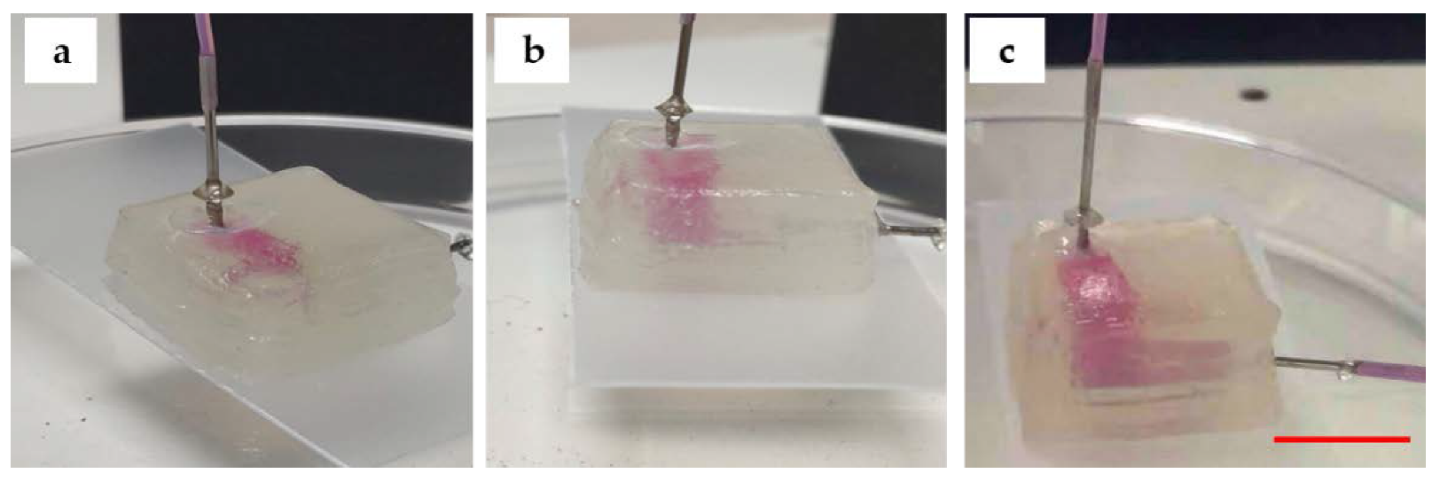 Micromachines 11 00237 g009