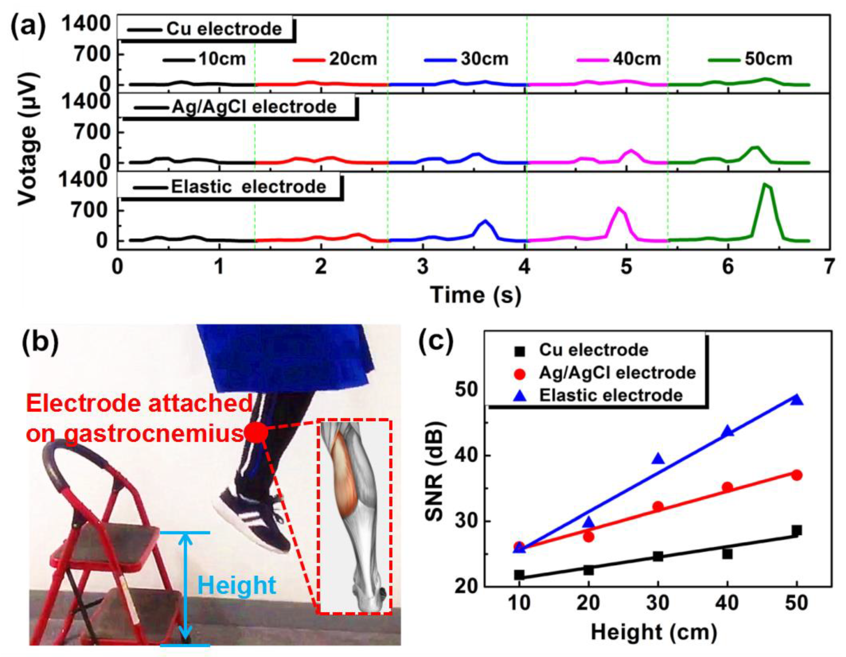 Micromachines 11 00239 g005 Micromachines 11 00239 g005