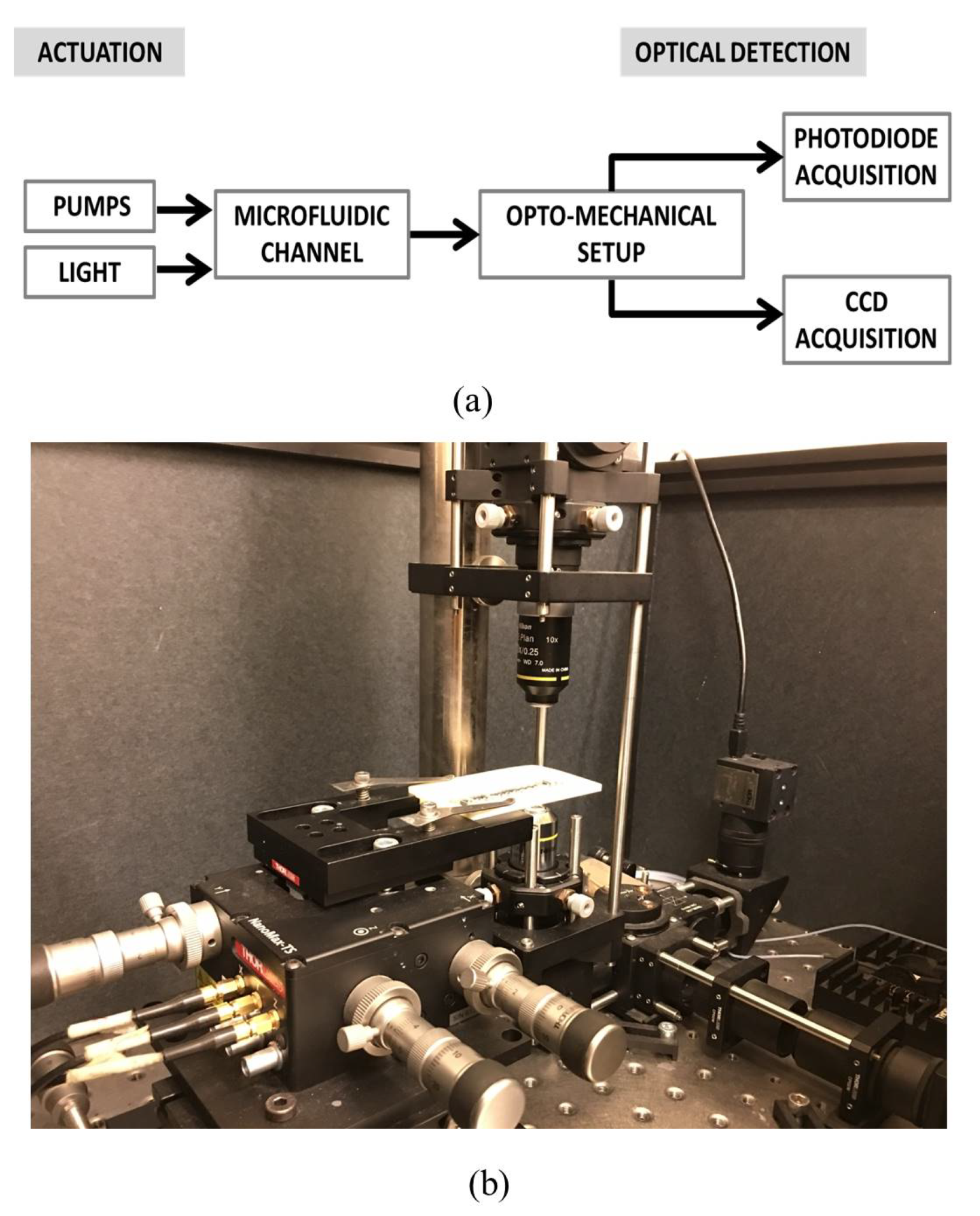 Micromachines 11 00241 g001