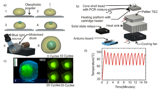Micromachines Free Full Text Core Shell Beads Made By Composite Liquid Marble Technology As A Versatile Microreactor For Polymerase Chain Reaction Html