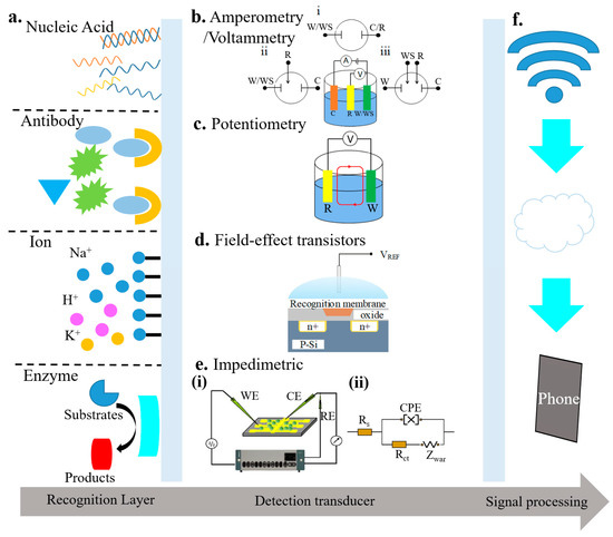 Recent Developments of Flexible and Stretchable