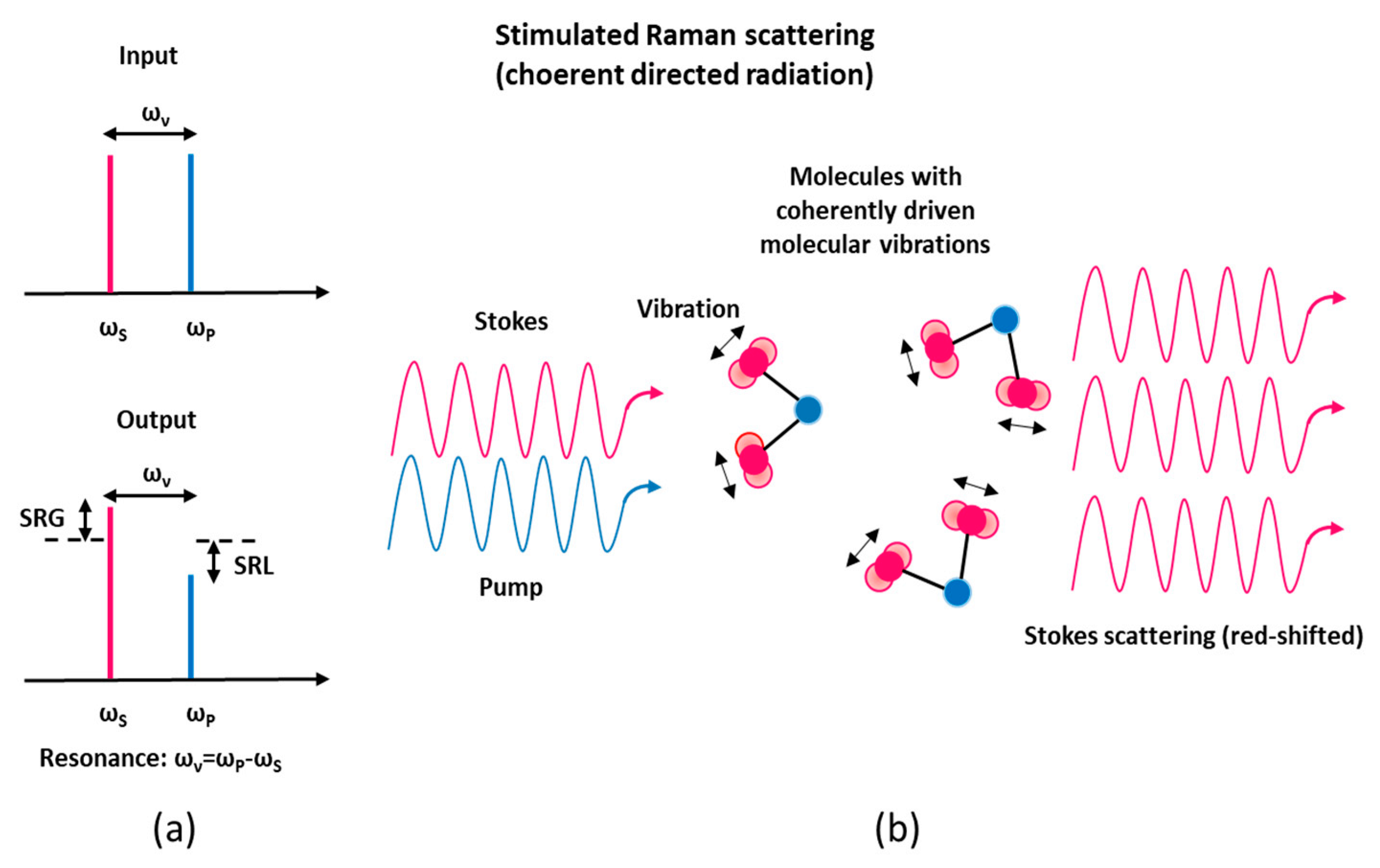 Micromachines 11 00247 g001