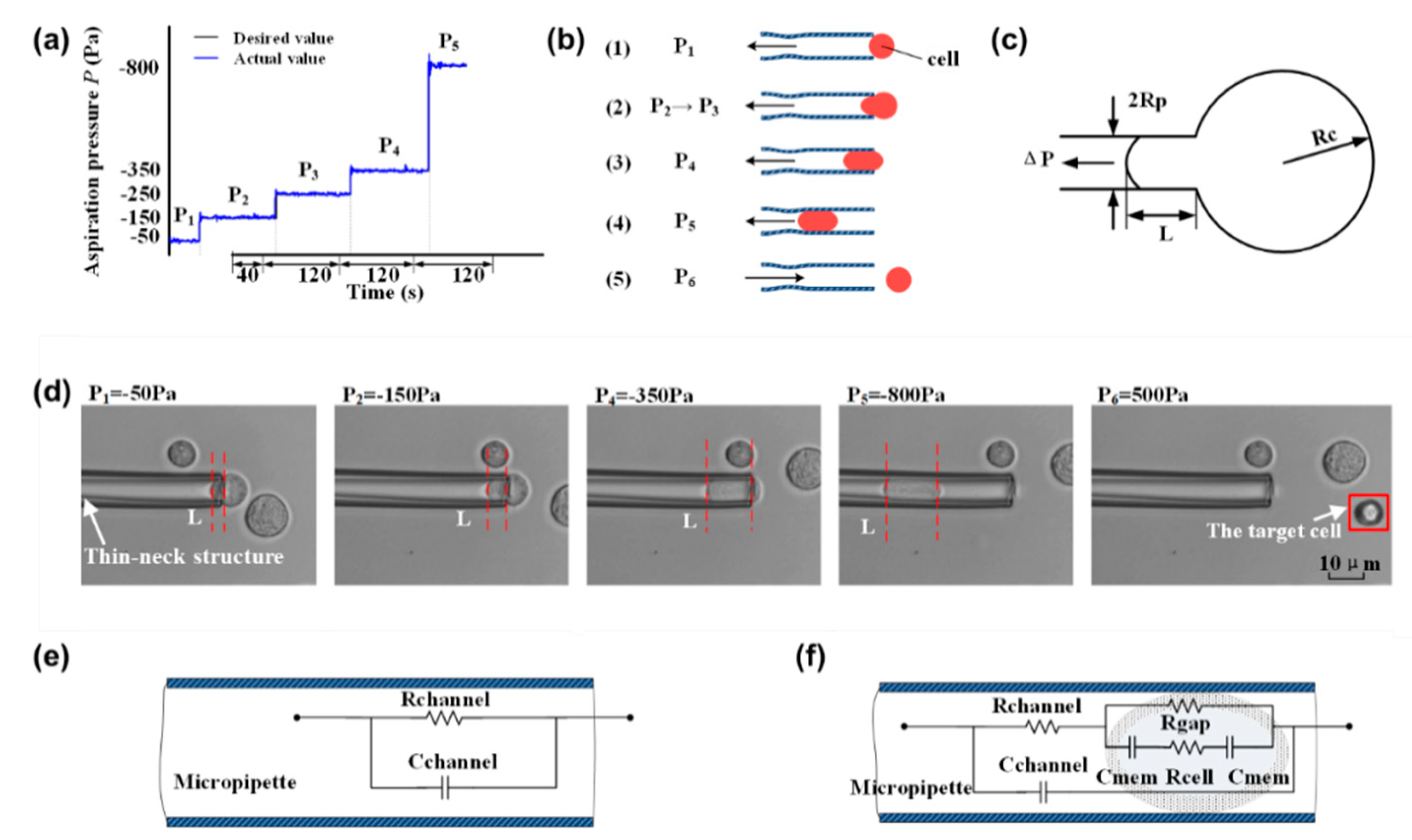 Micromachines 11 00249 g002