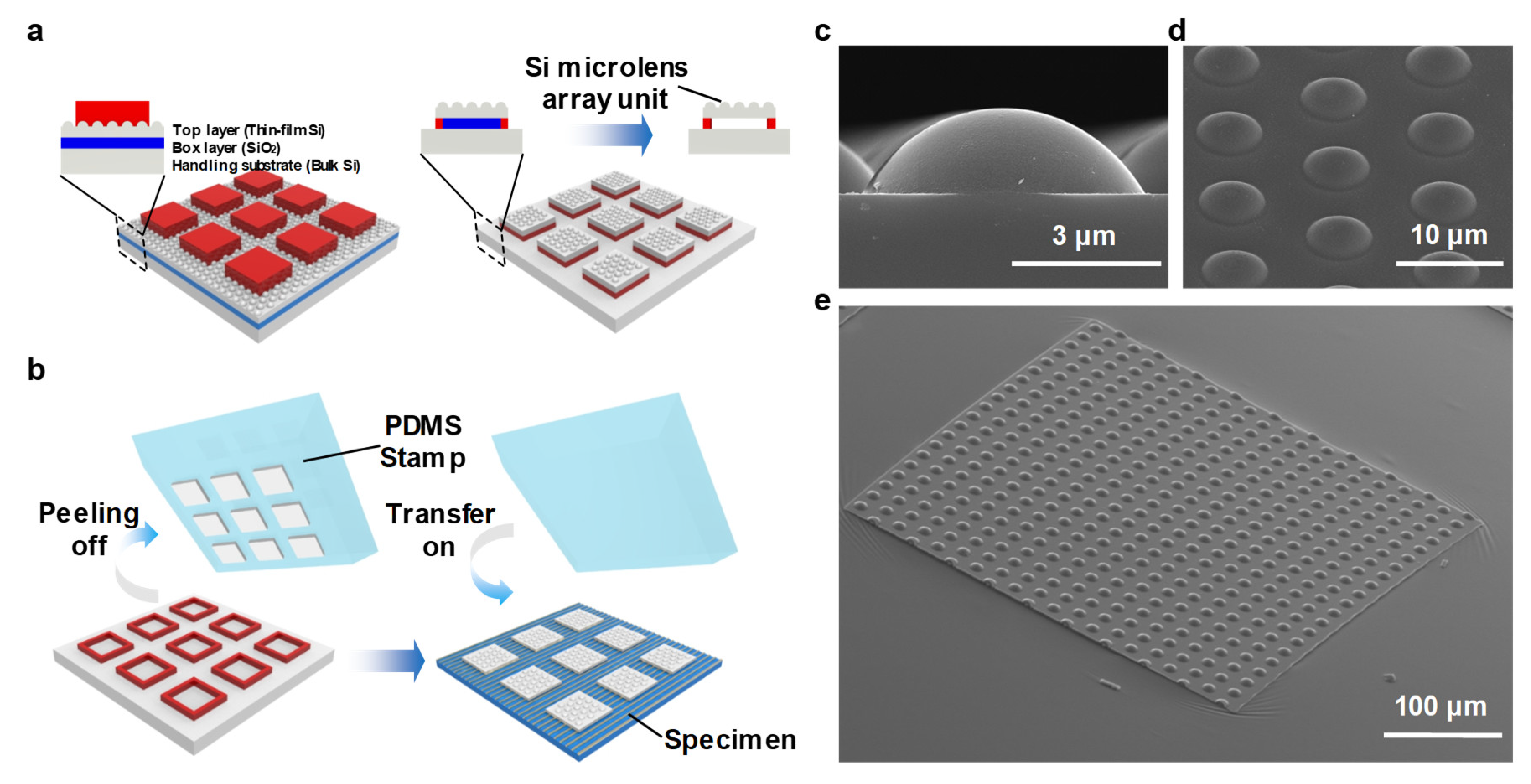 Micromachines 11 00250 g004