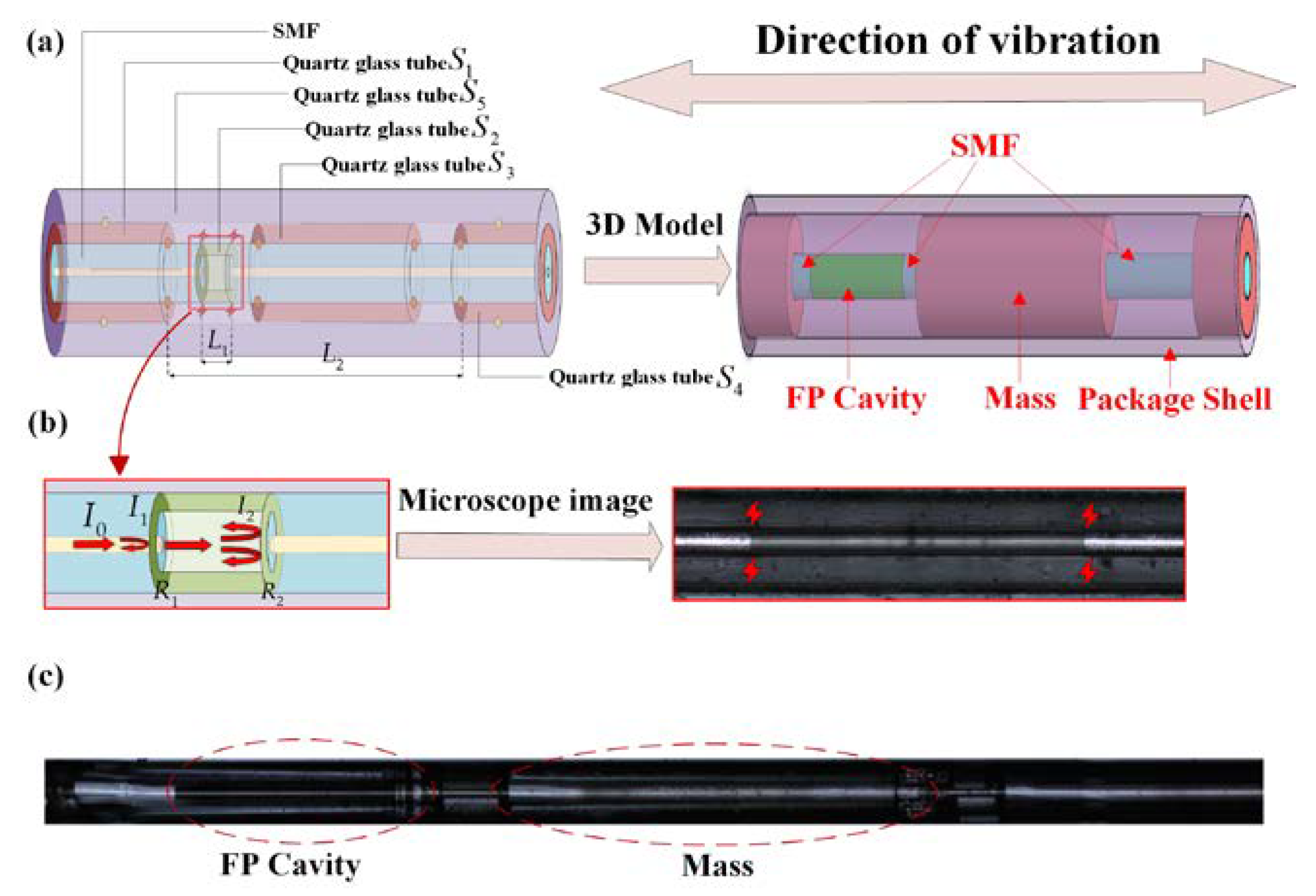 Micromachines 11 00252 g001