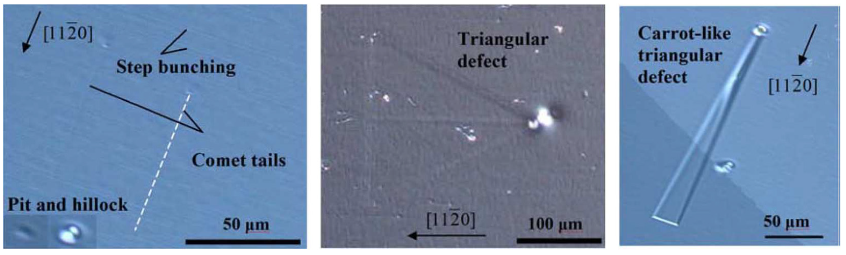 Micromachines 11 00254 g015