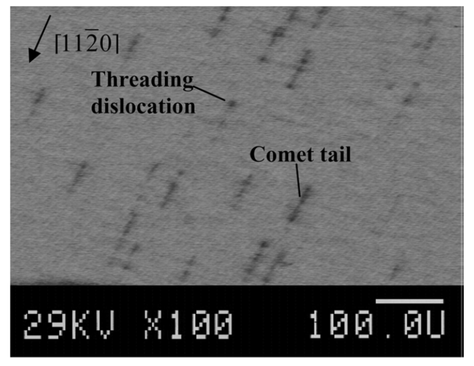 Micromachines 11 00254 g016