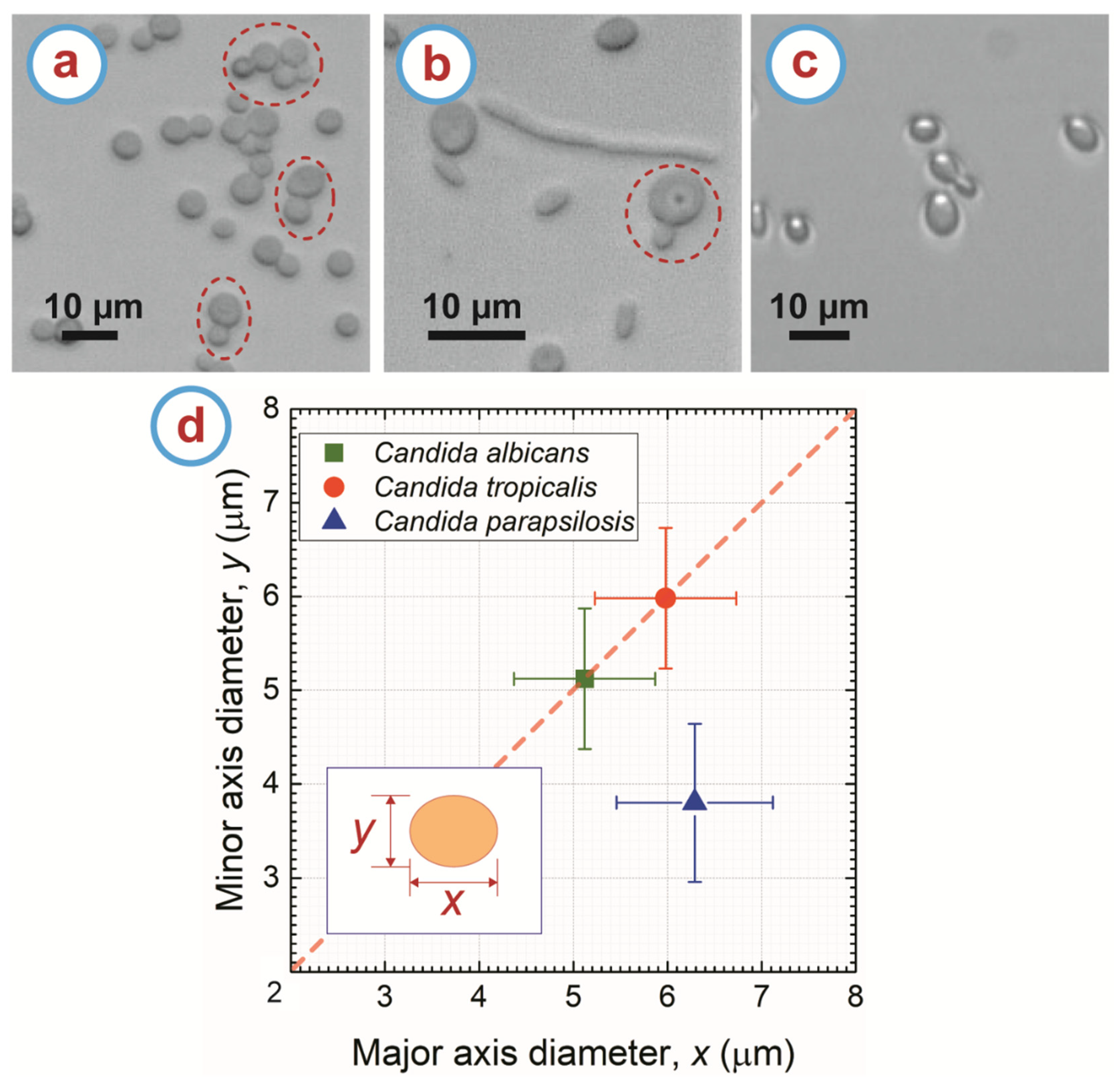 Micromachines 11 00255 g002 Micromachines 11 00255 g002