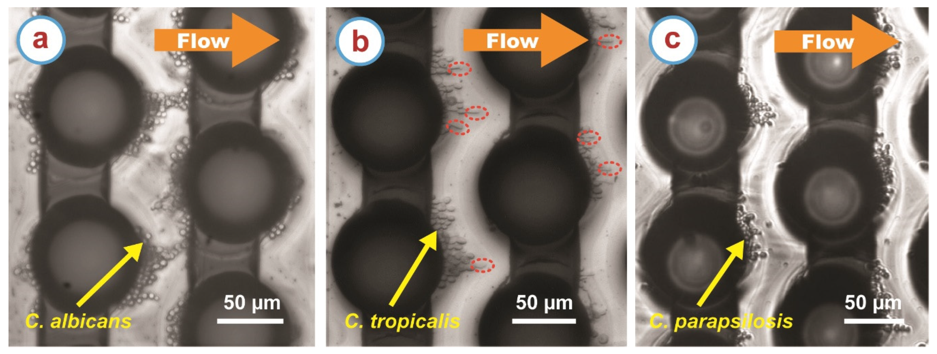 Micromachines 11 00255 g003 Micromachines 11 00255 g003