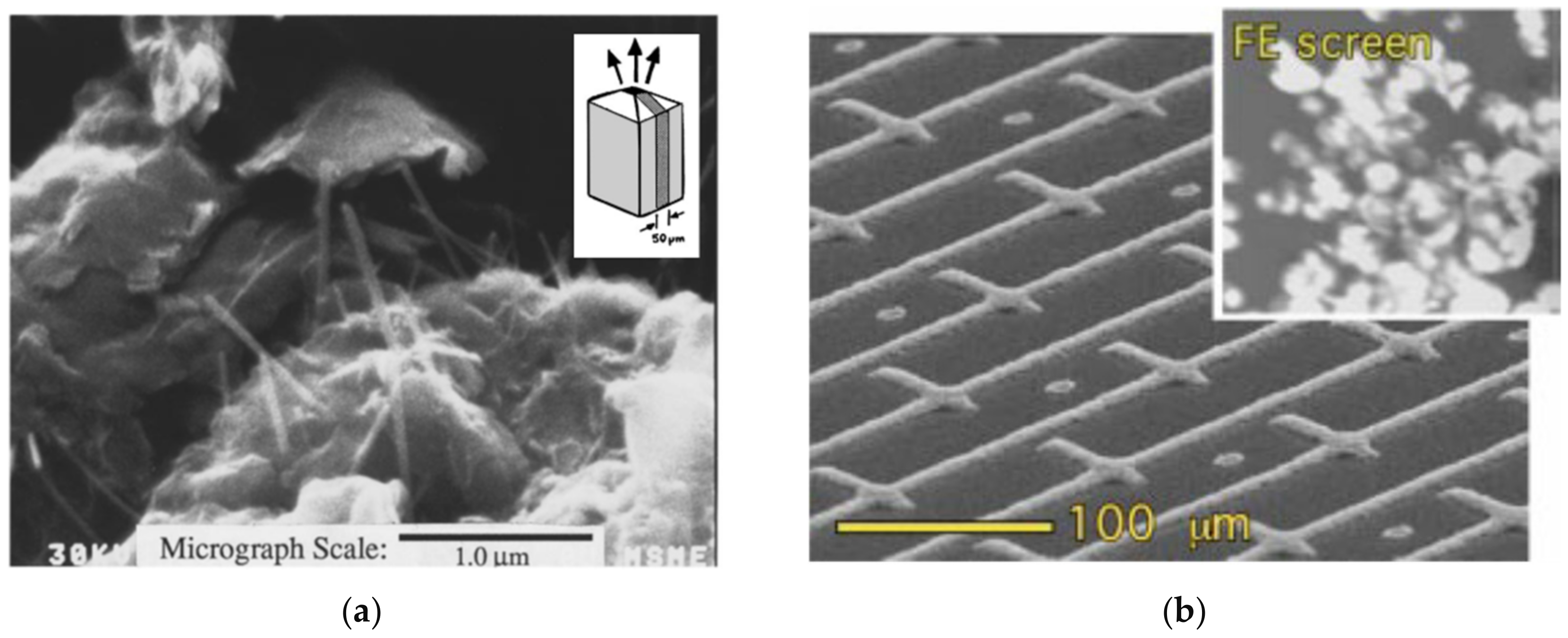 Micromachines 11 00260 g003a Micromachines 11 00260 g003a