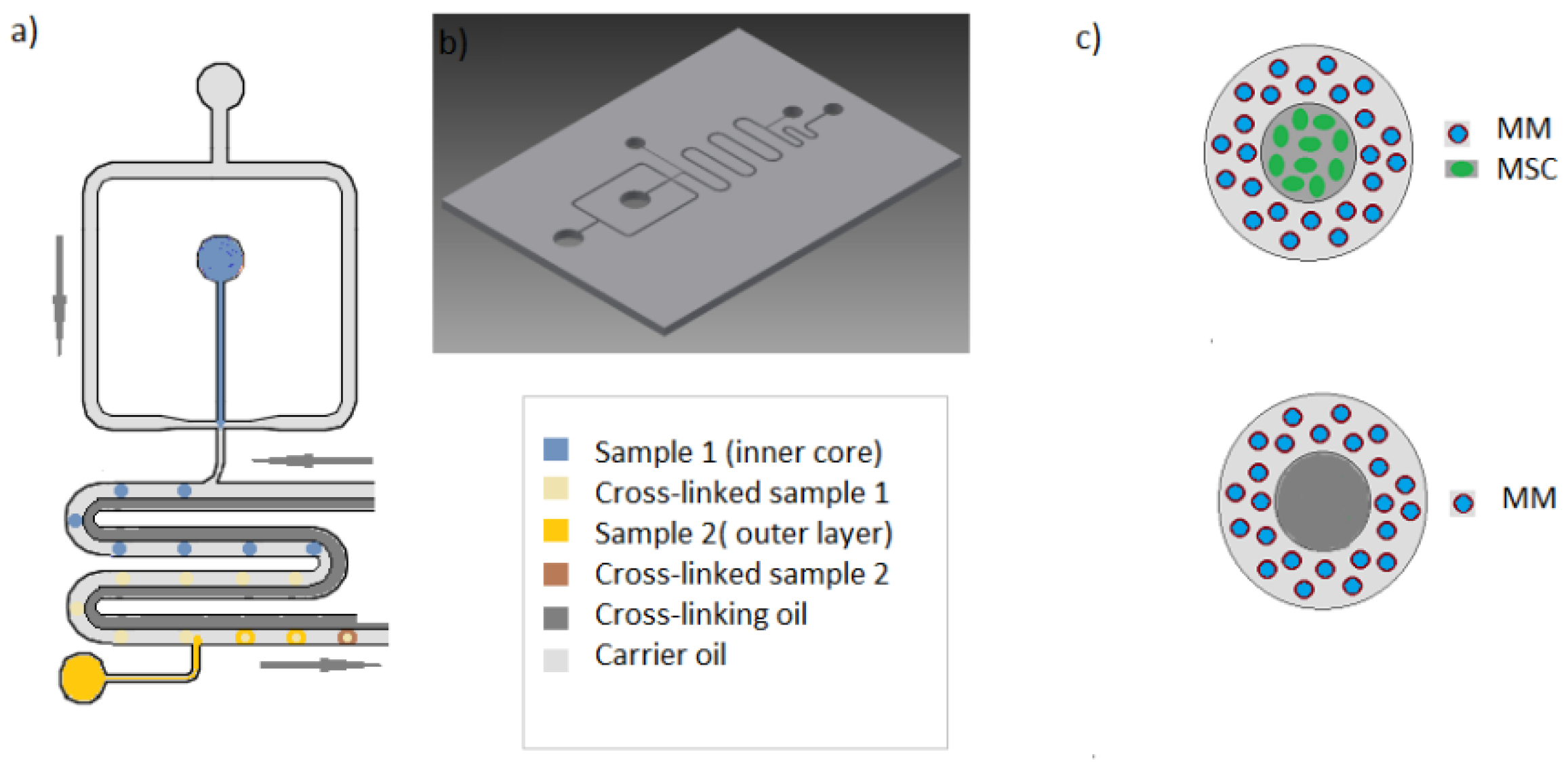Micromachines 11 00261 g001