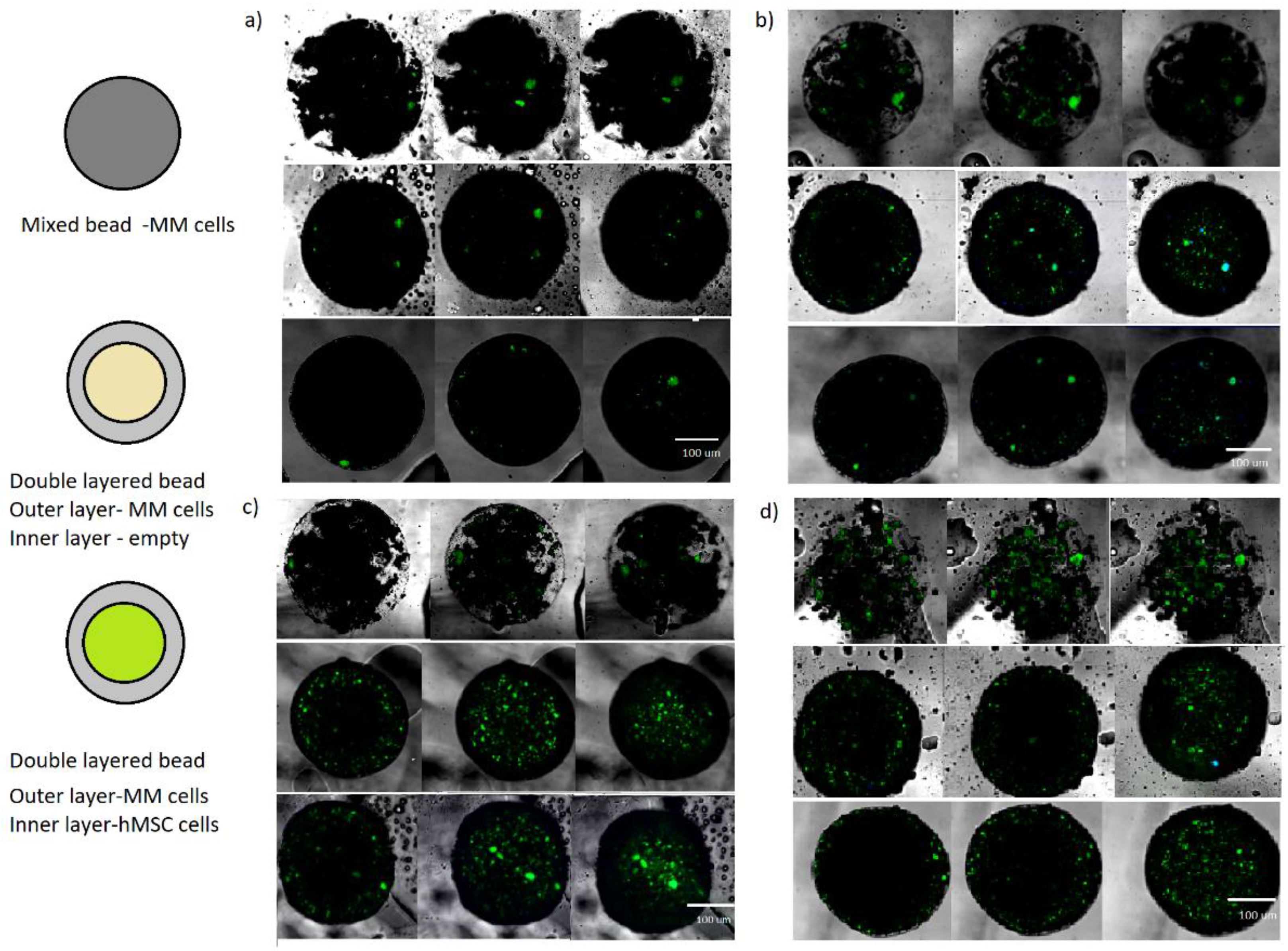 Micromachines 11 00261 g003