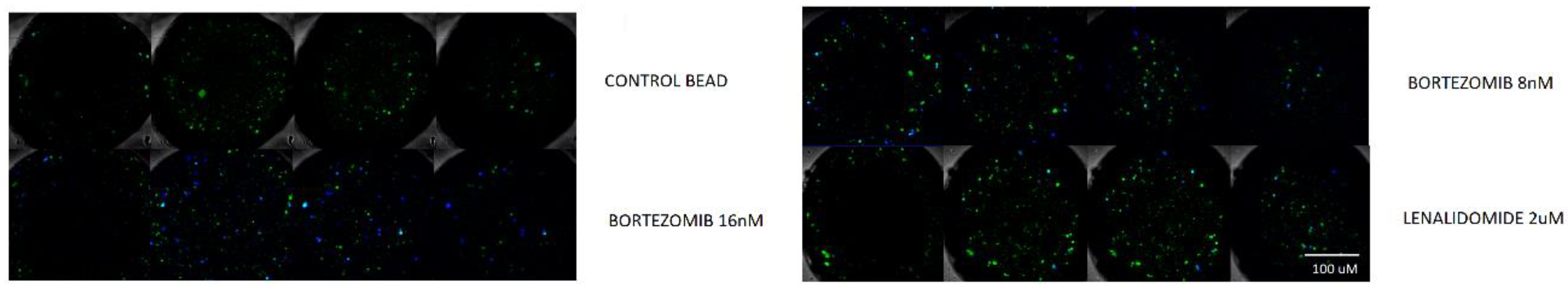 Micromachines 11 00261 g005